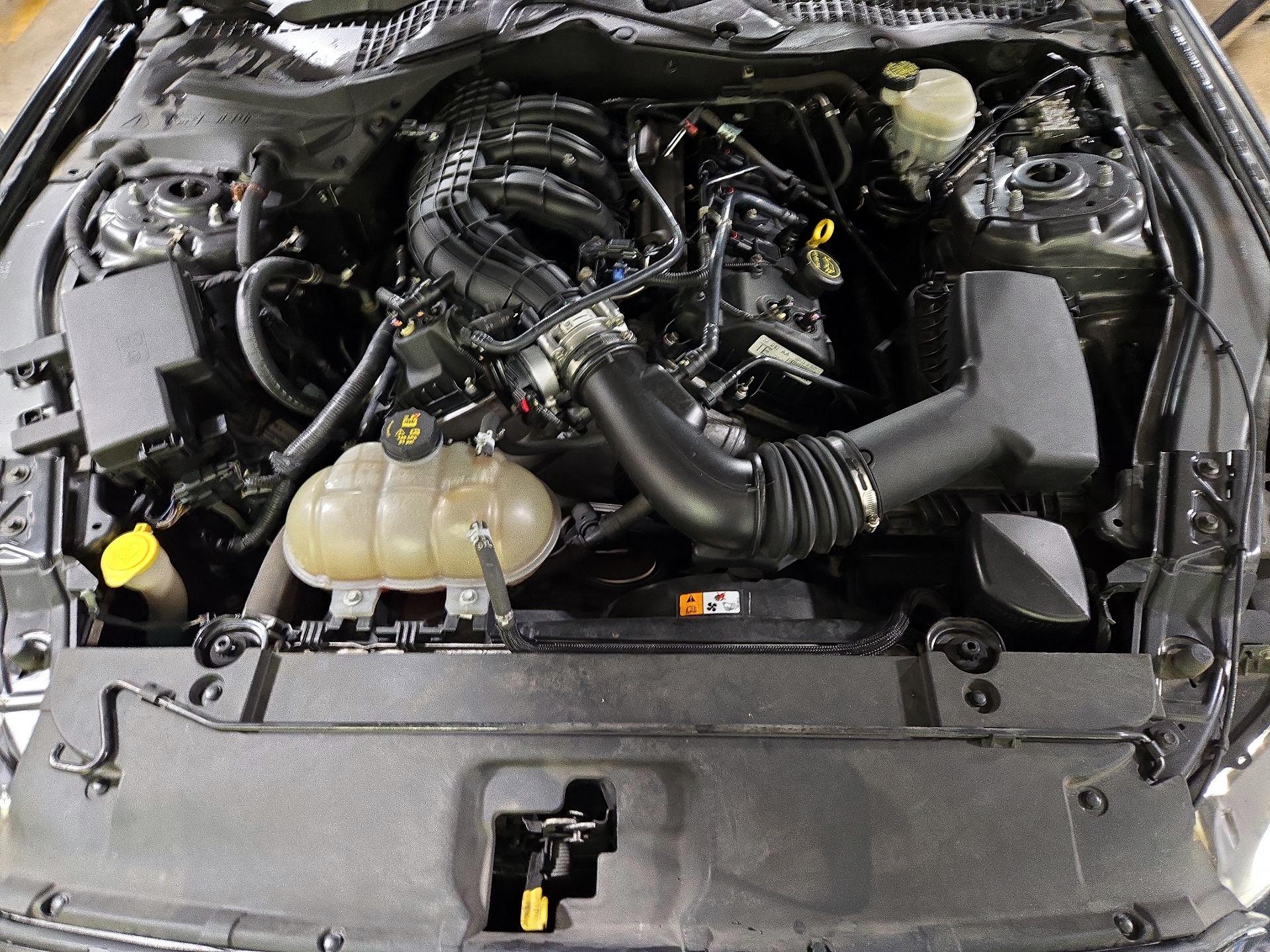 Thumbnail: 2015 Ford Mustang - 20