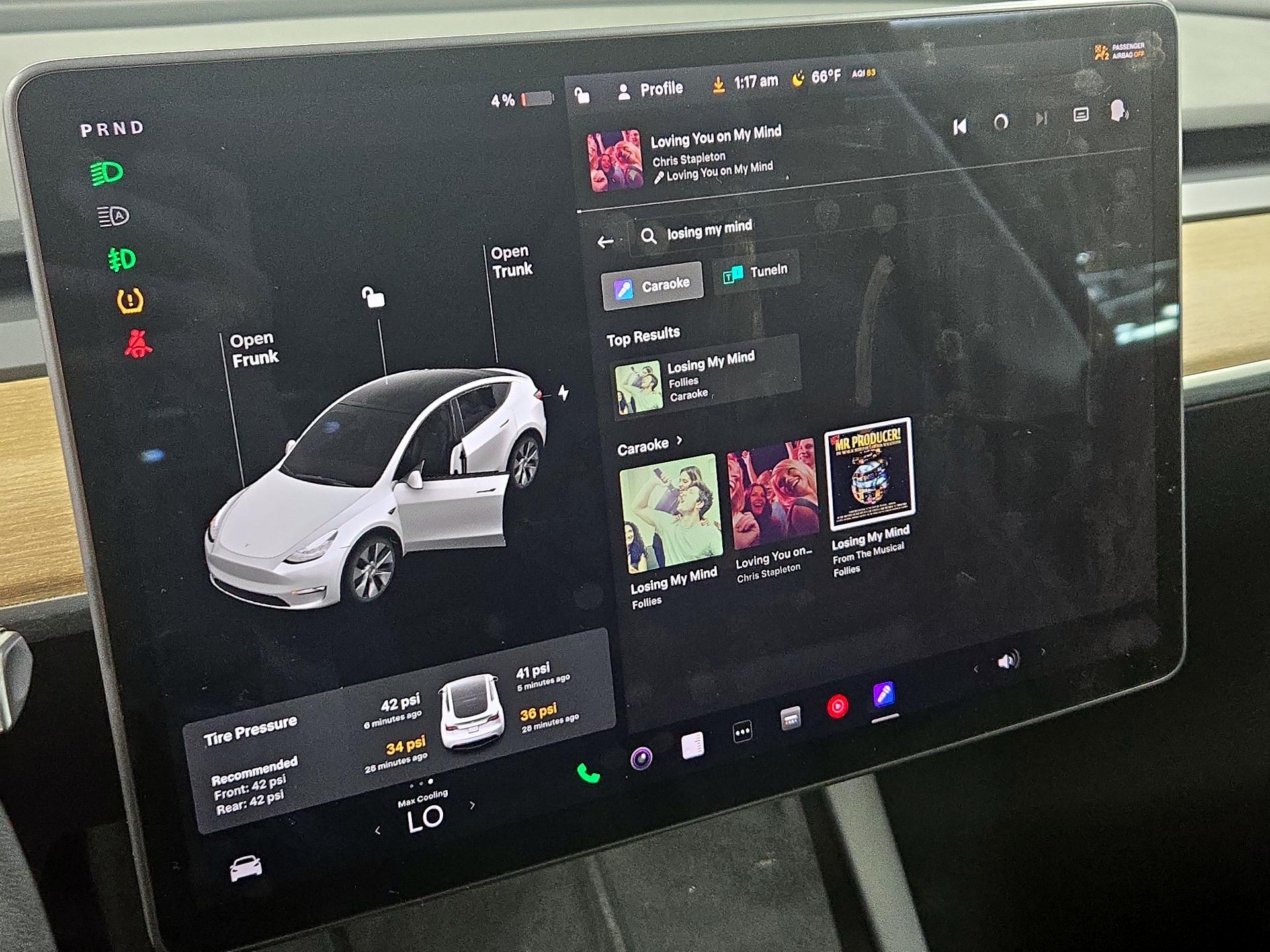 Thumbnail: 2021 Tesla Model Y - 14