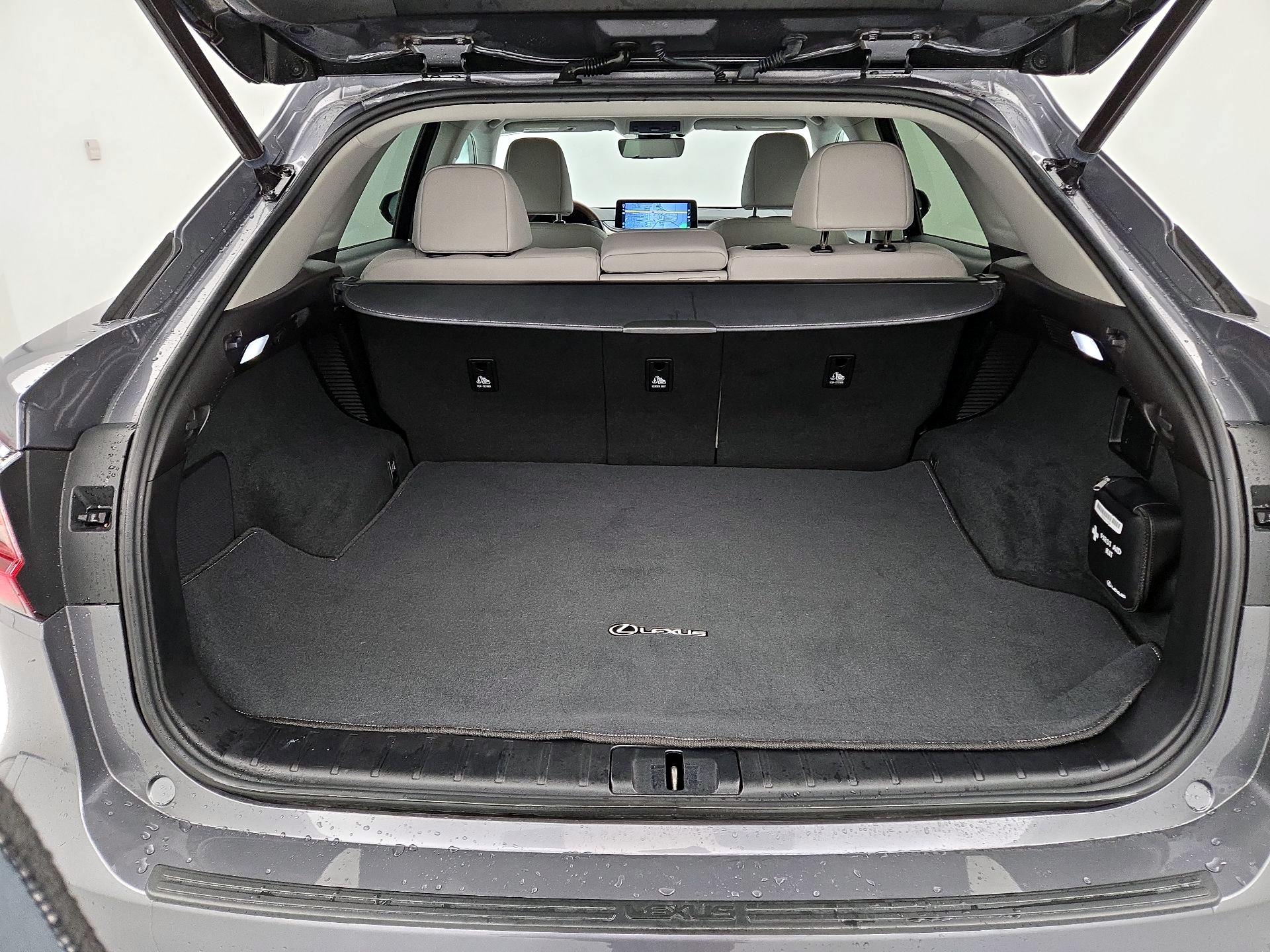 Thumbnail: 2021 Lexus RX - 19