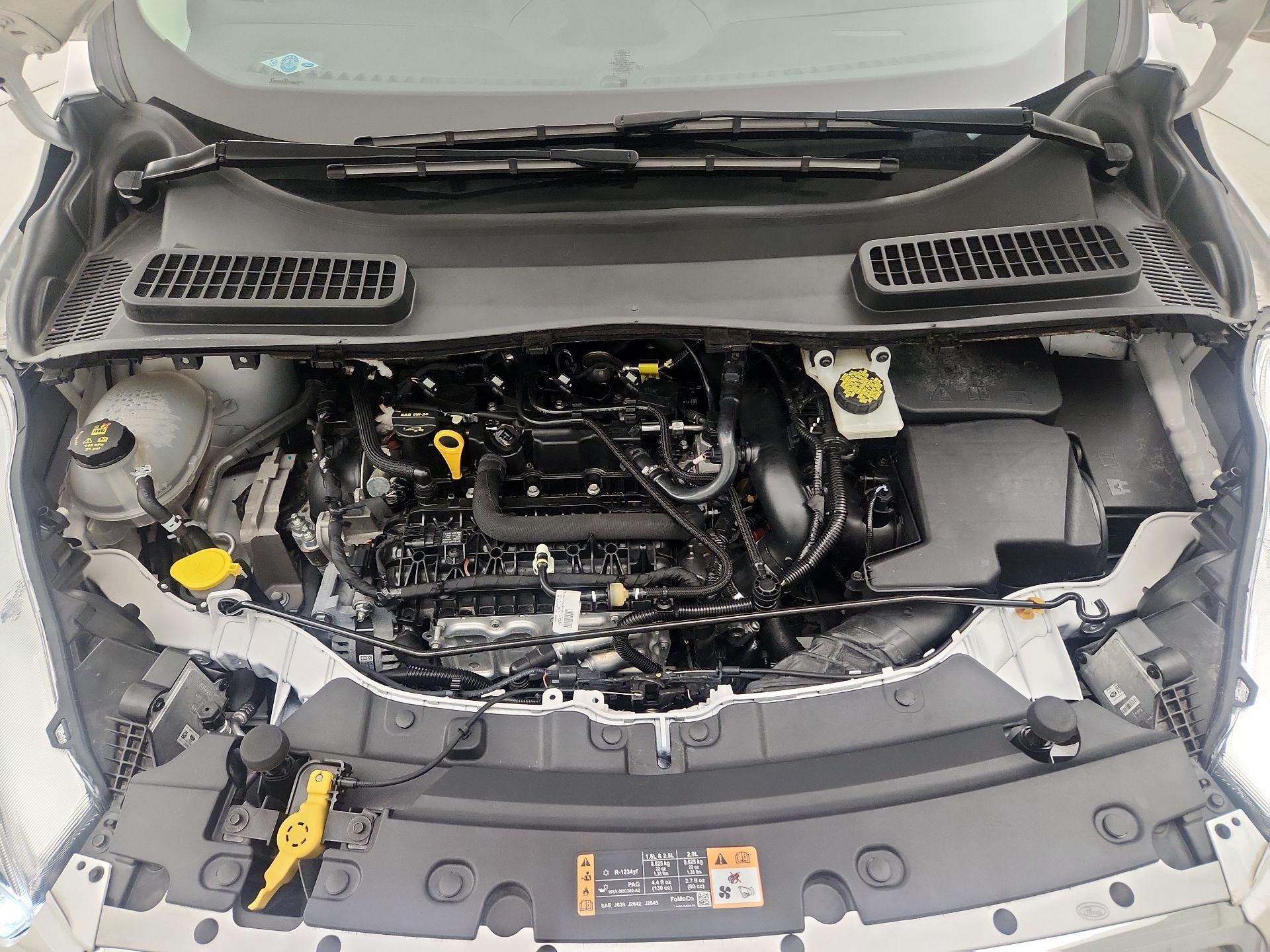 Thumbnail: 2019 Ford Escape - 17
