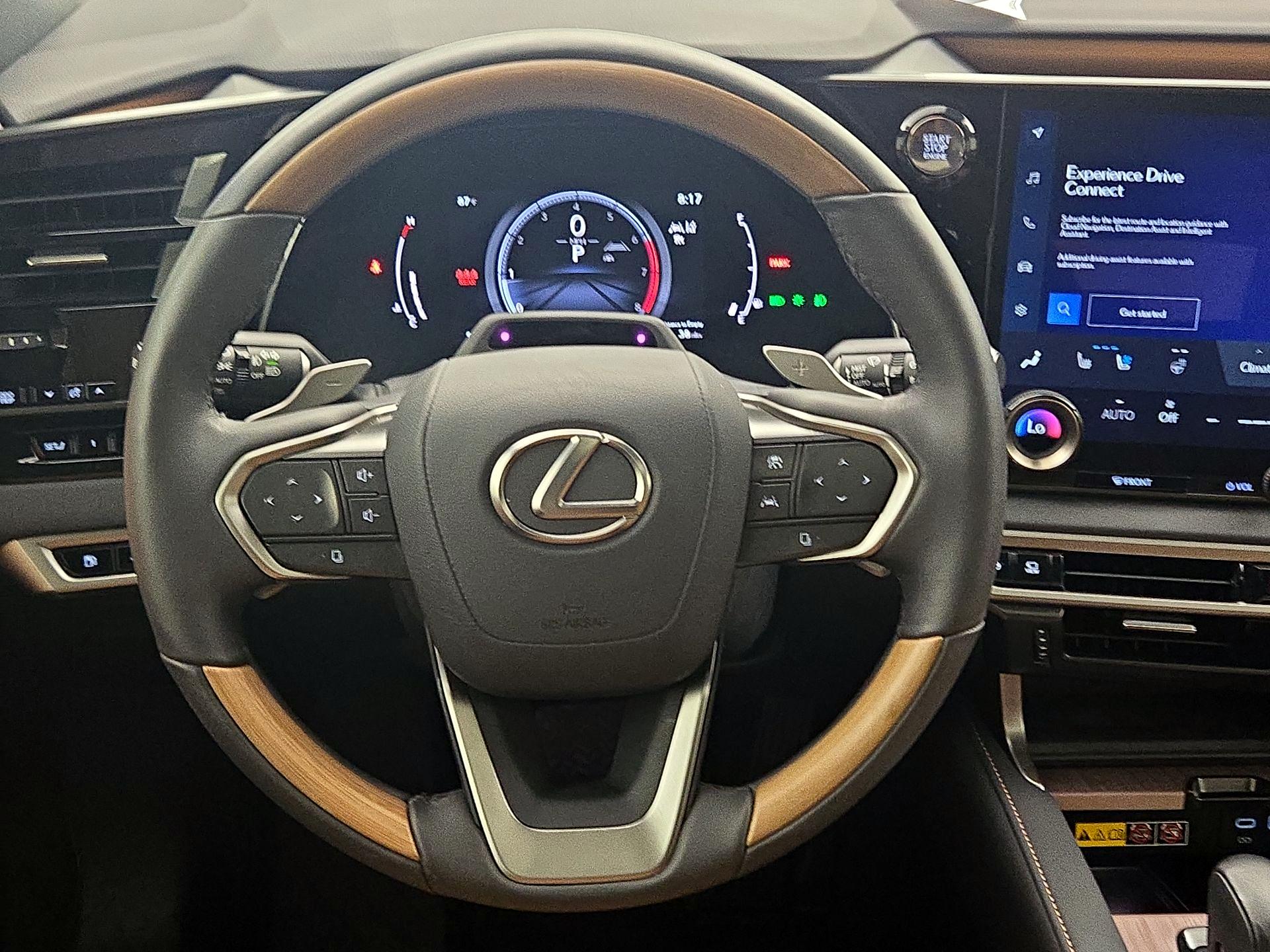 Thumbnail: 2024 Lexus RX - 10