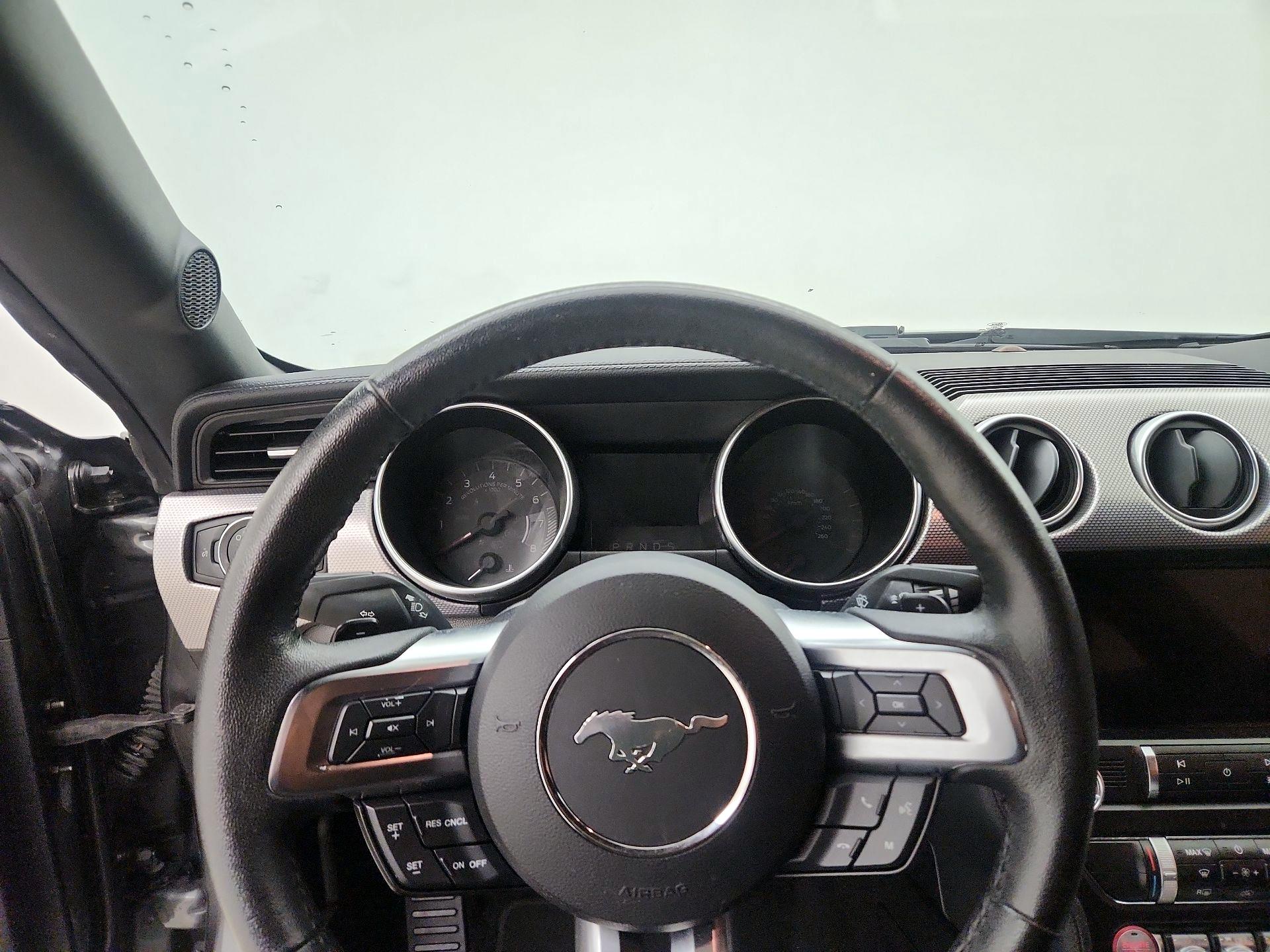 Thumbnail: 2019 Ford Mustang - 10