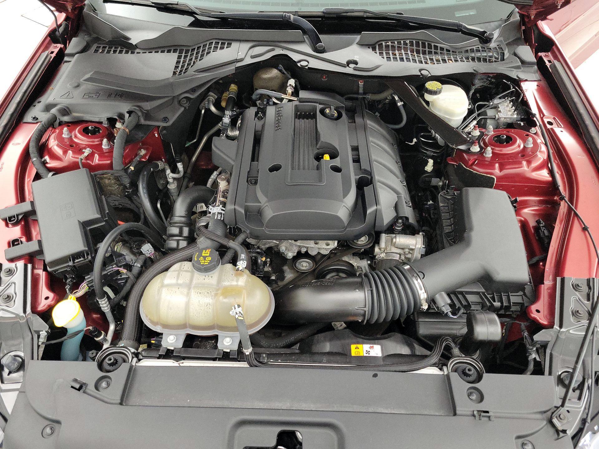 Thumbnail: 2016 Ford Mustang - 19