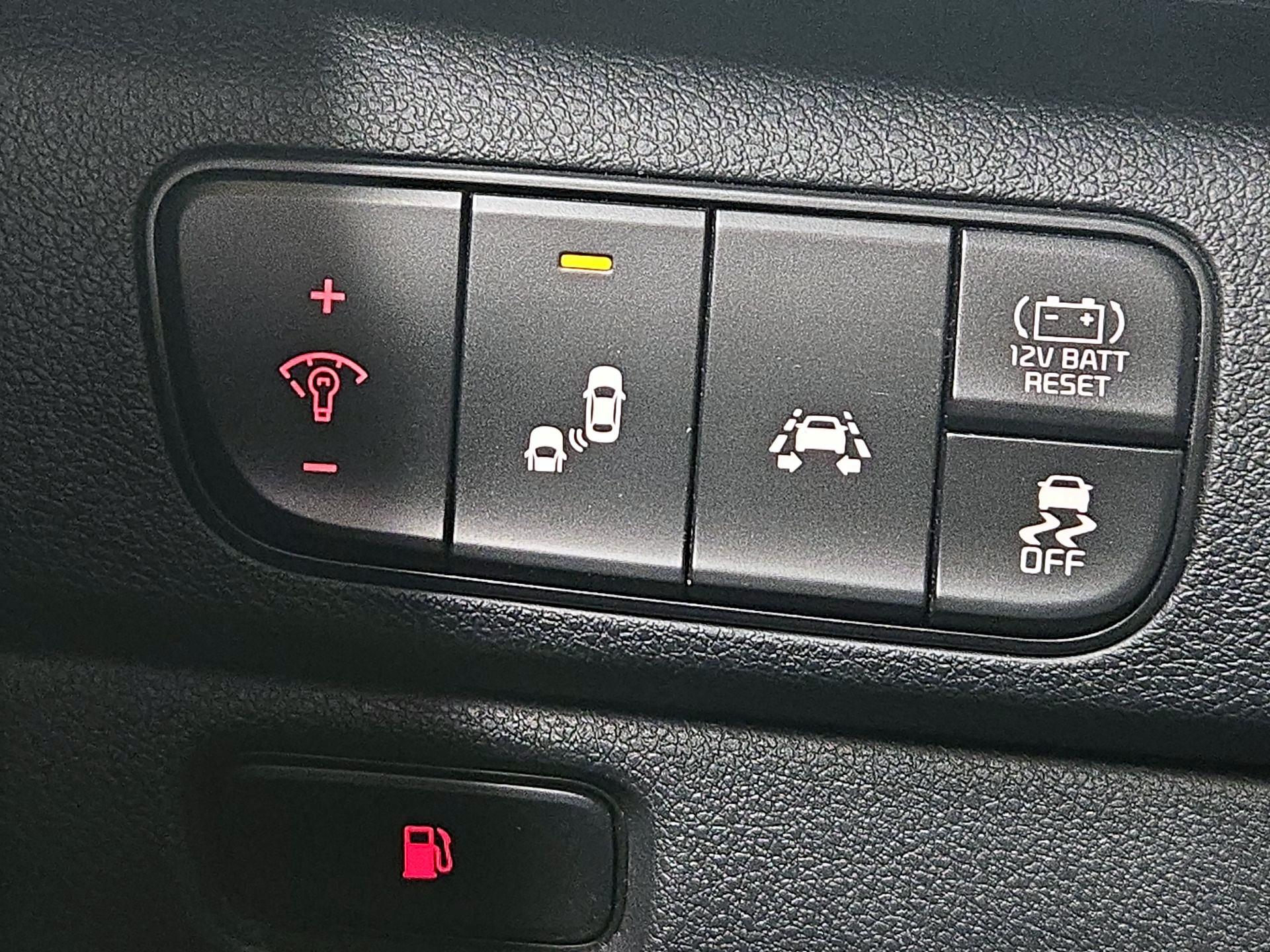 Thumbnail: 2019 Kia Niro - 13