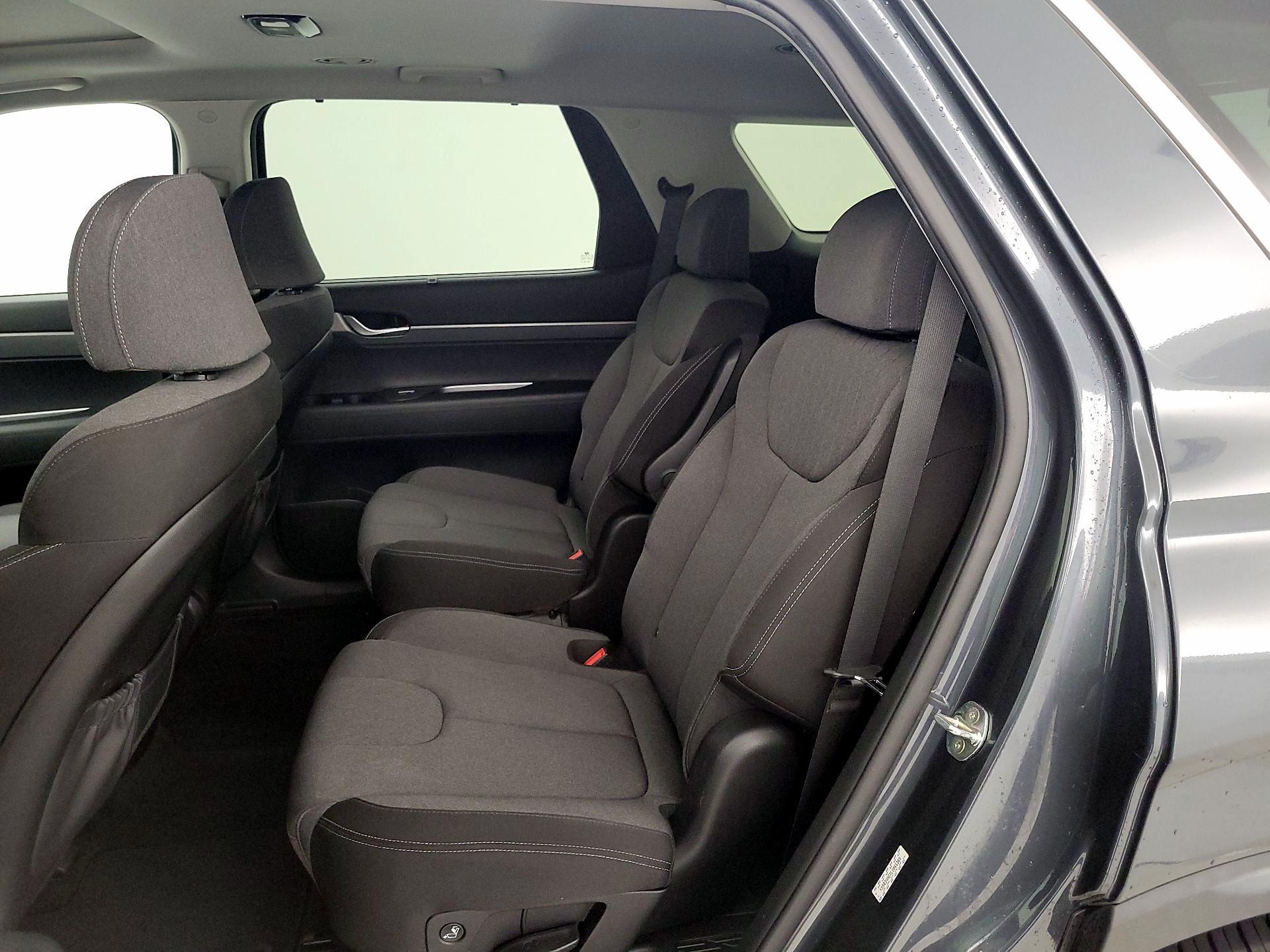 Thumbnail: 2020 Hyundai Palisade - 20