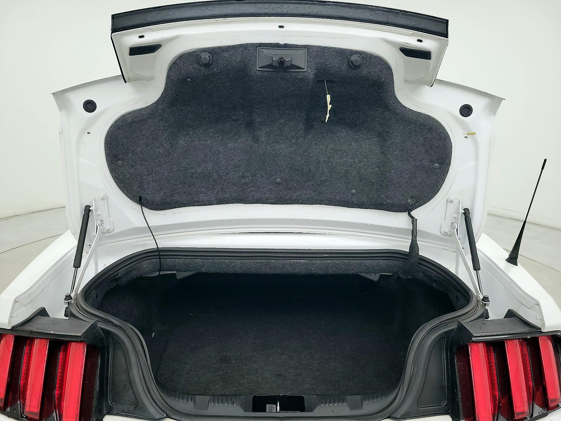 Thumbnail: 2016 Ford Mustang - 20