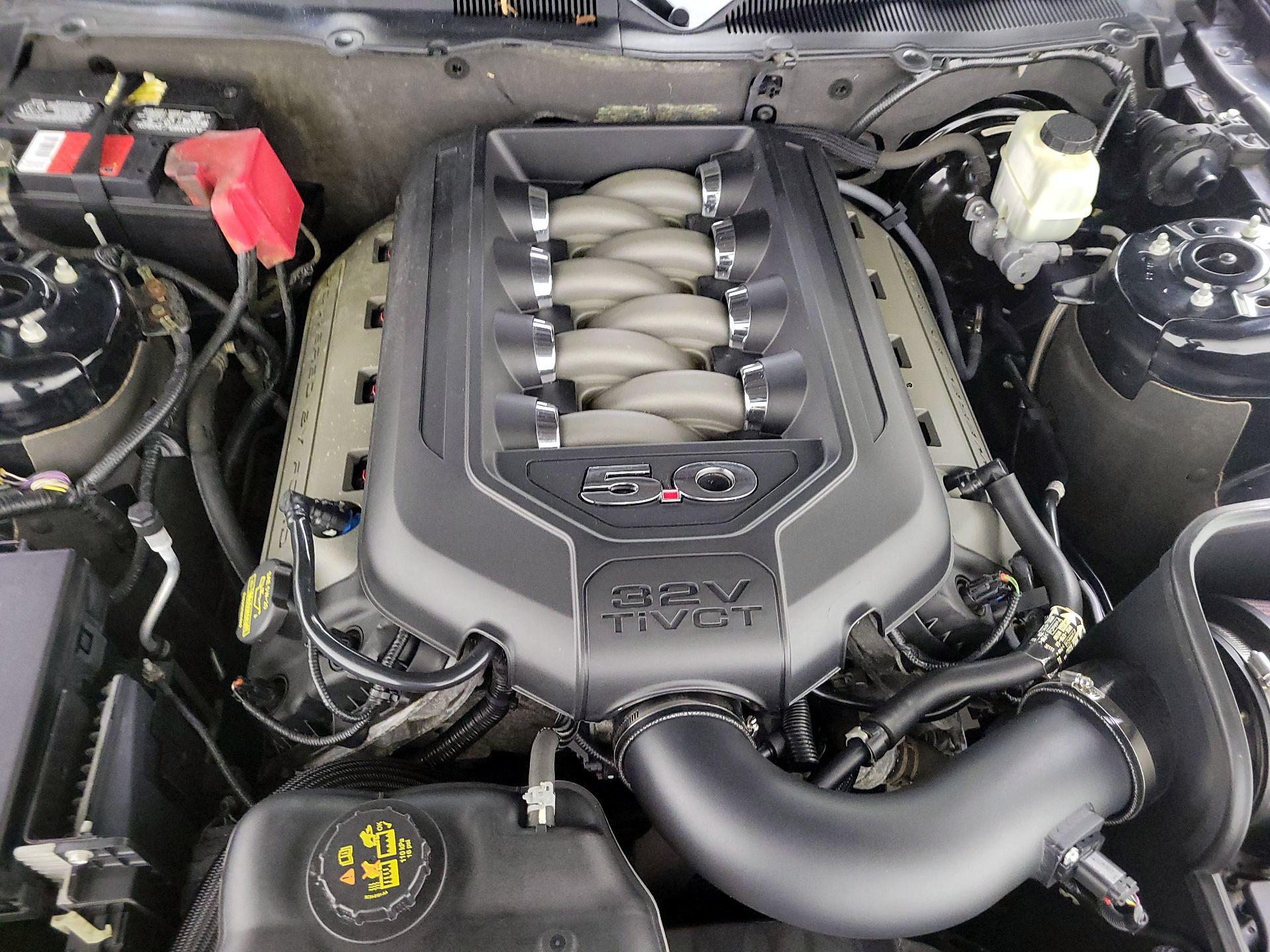 Thumbnail: 2014 Ford Mustang - 19