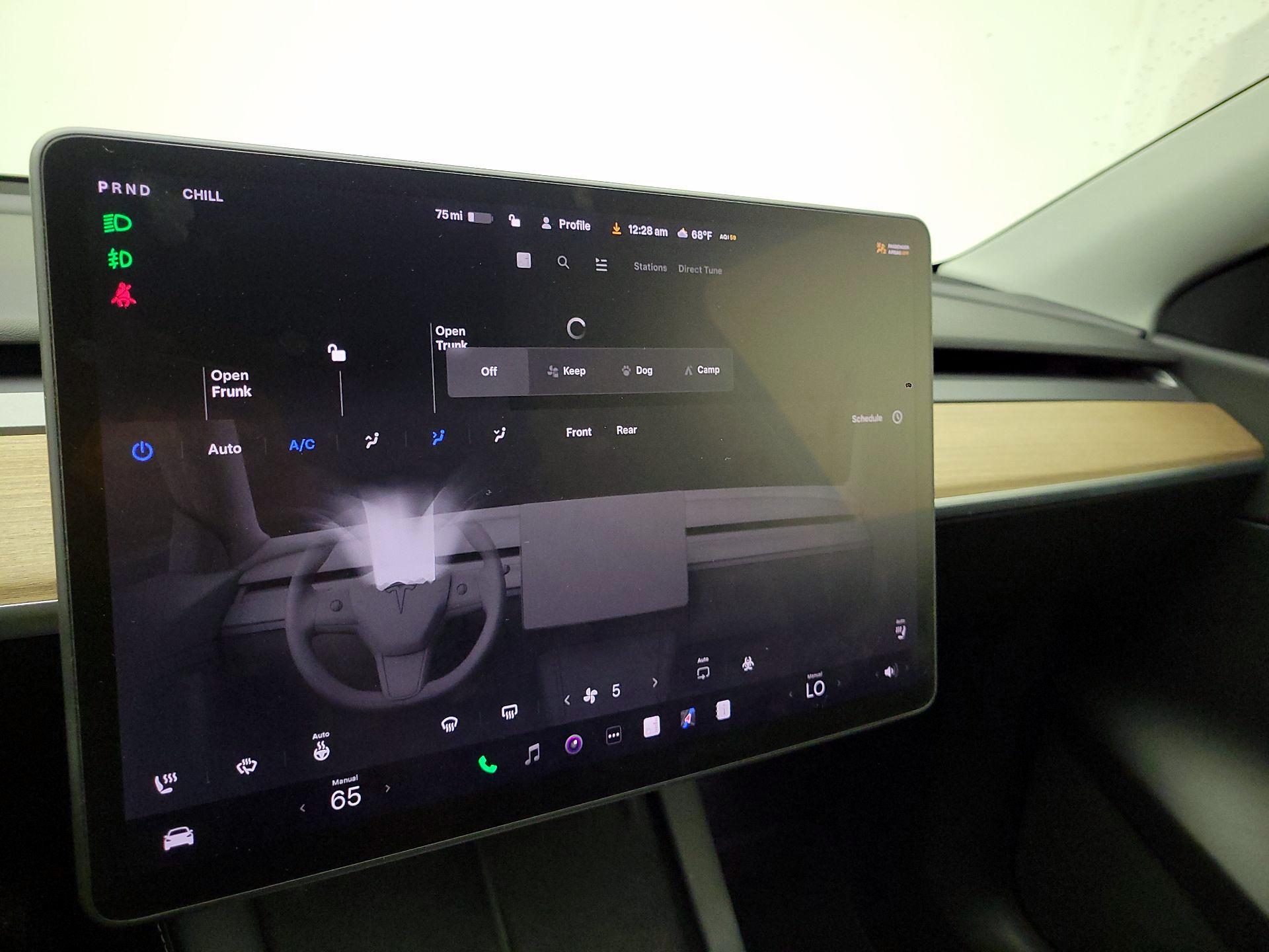 Thumbnail: 2022 Tesla Model Y - 16