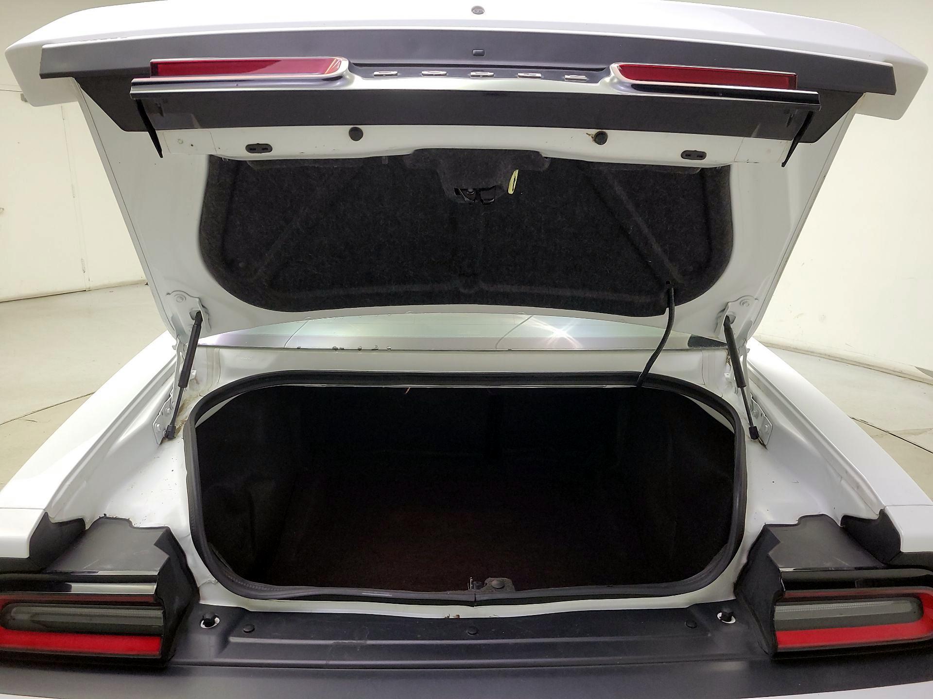 Thumbnail: 2019 Dodge Challenger - 20