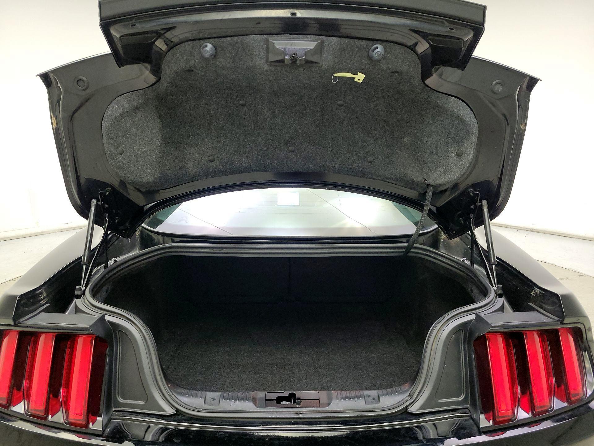 Thumbnail: 2017 Ford Mustang - 20