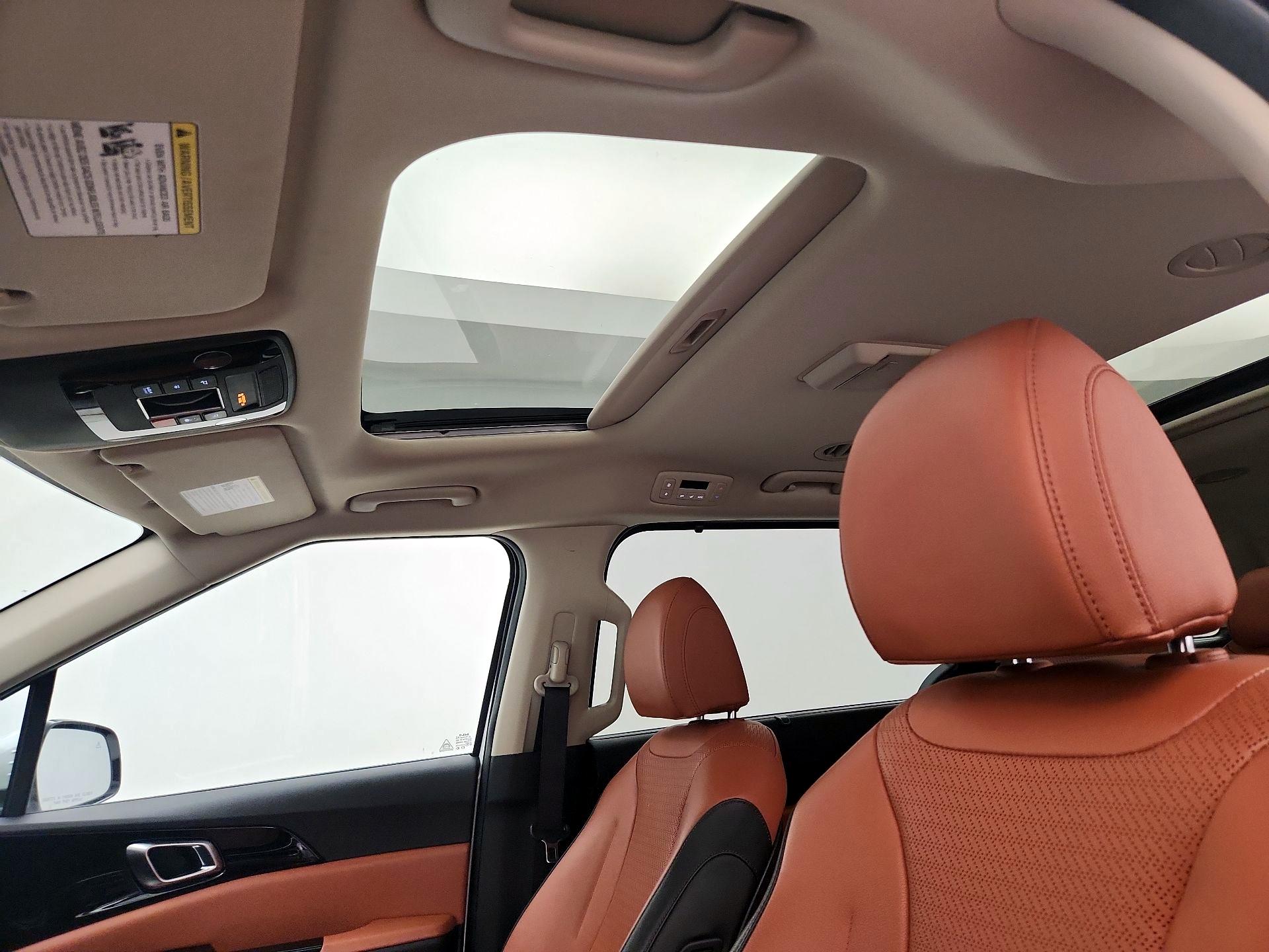 Thumbnail: 2024 Kia Carnival - 20