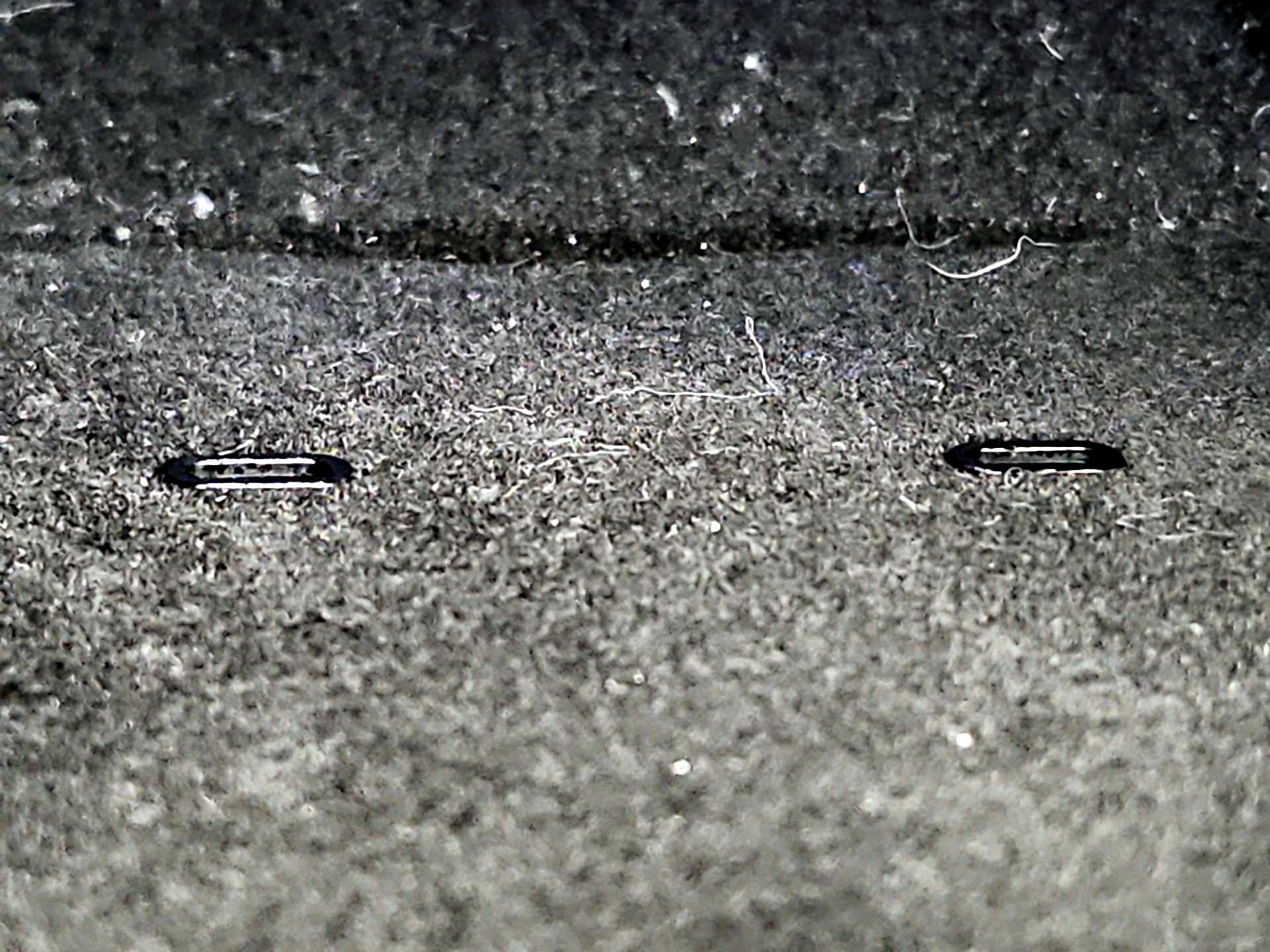 Thumbnail: 2021 Tesla Model 3 - 19