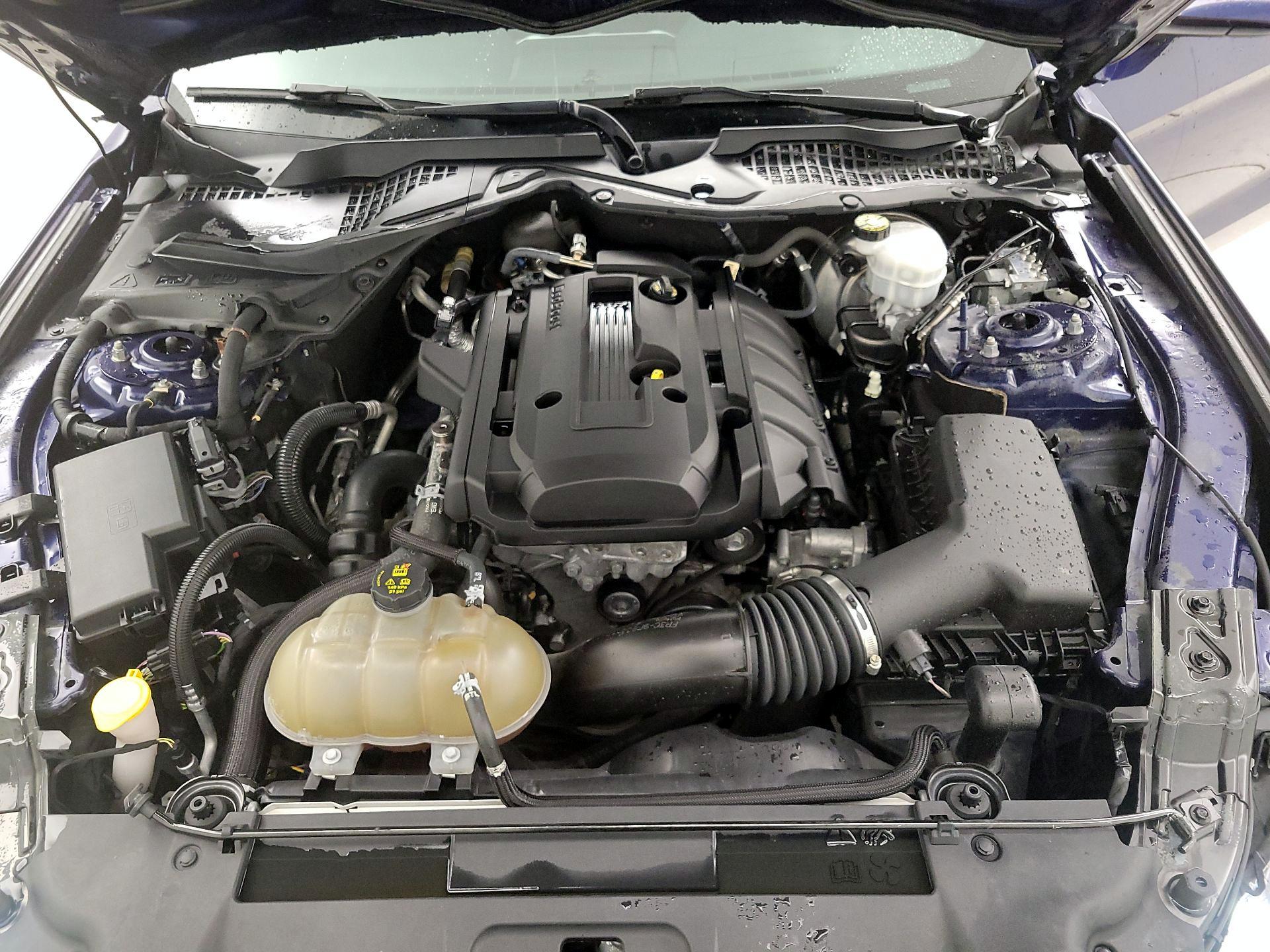 Thumbnail: 2019 Ford Mustang - 20