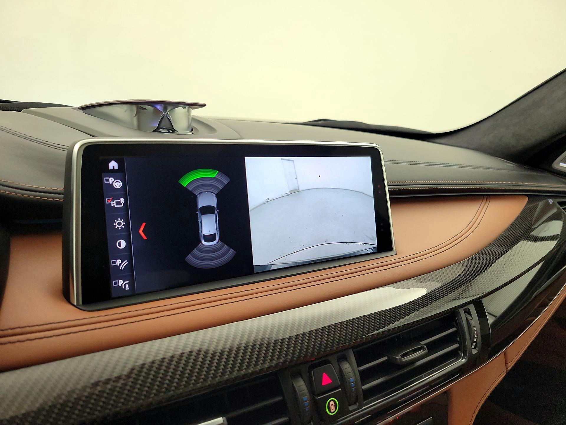 Thumbnail: 2019 BMW X6 - 15