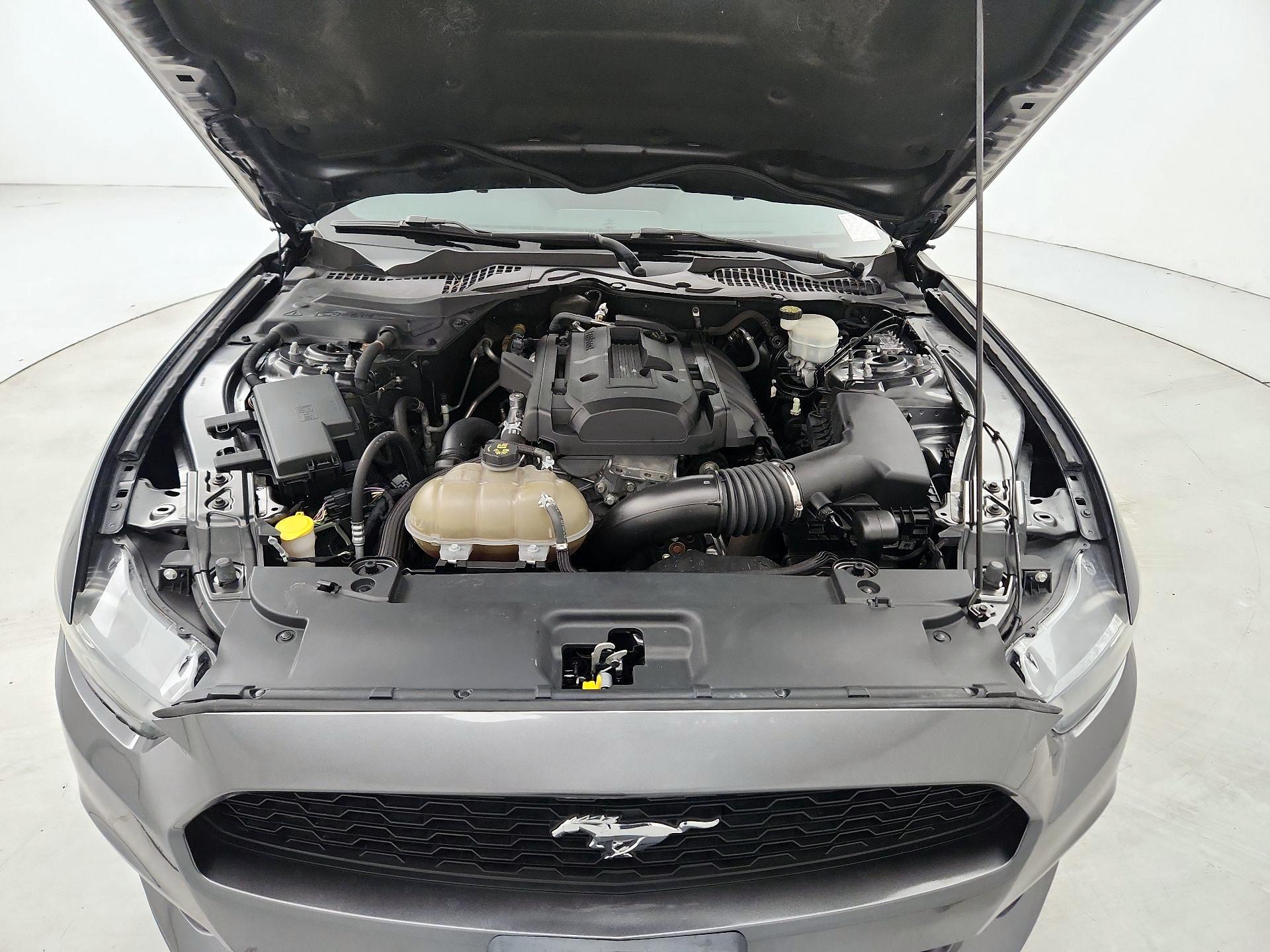 Thumbnail: 2016 Ford Mustang - 19