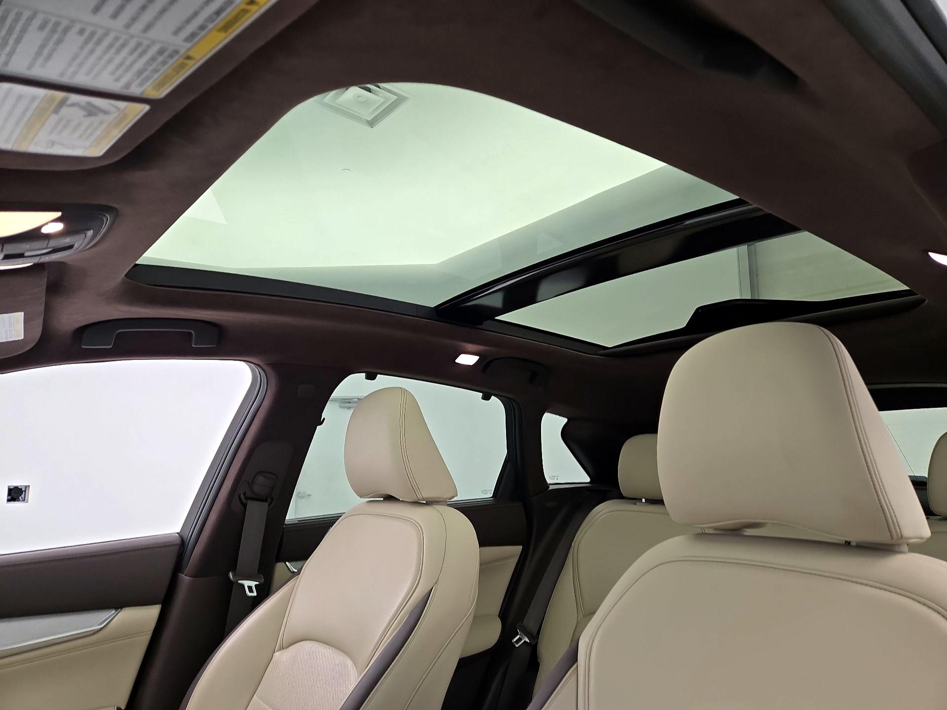 Thumbnail: 2019 INFINITI QX50 - 20