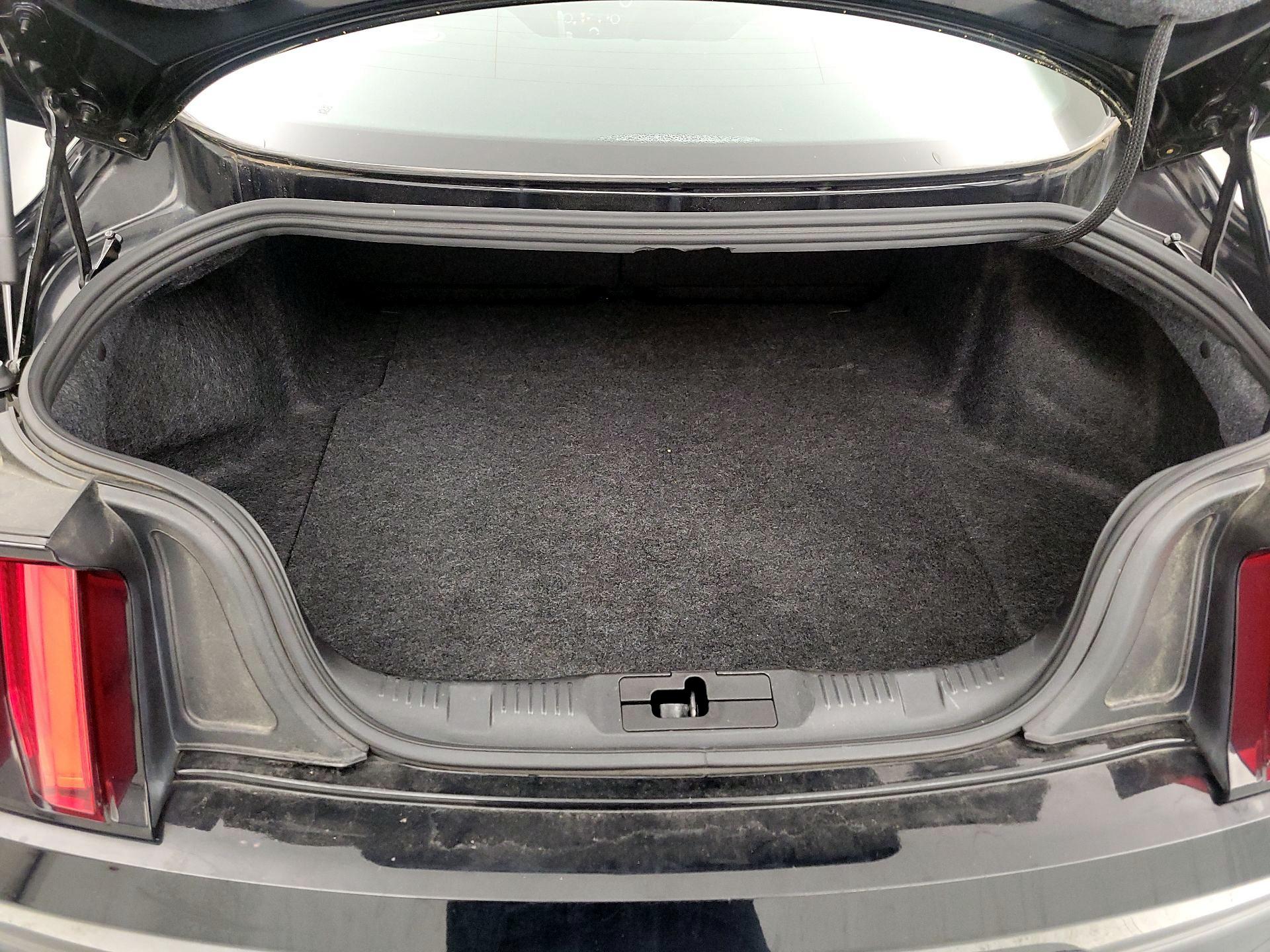 Thumbnail: 2017 Ford Mustang - 20