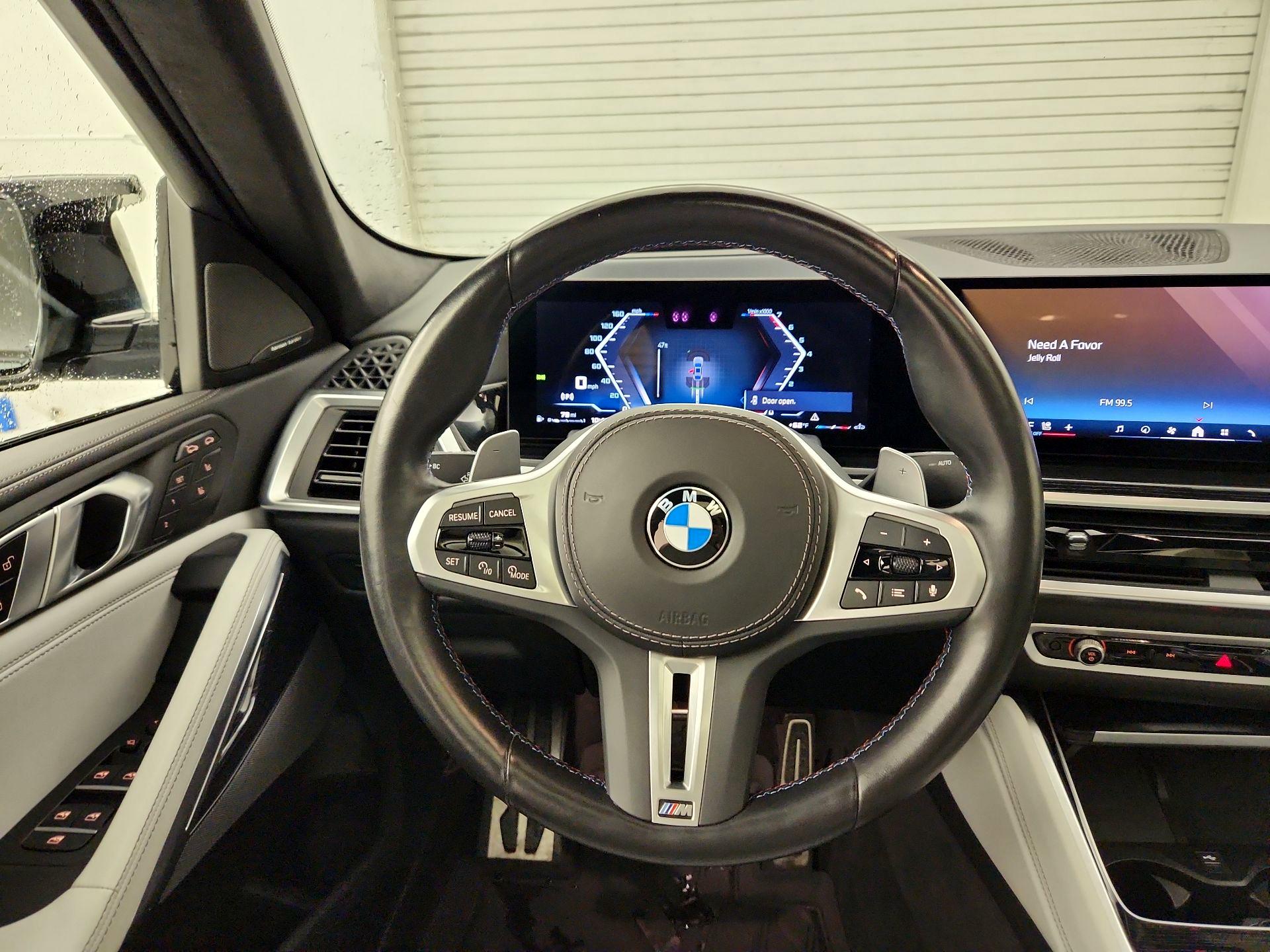 Thumbnail: 2024 BMW X6 - 10