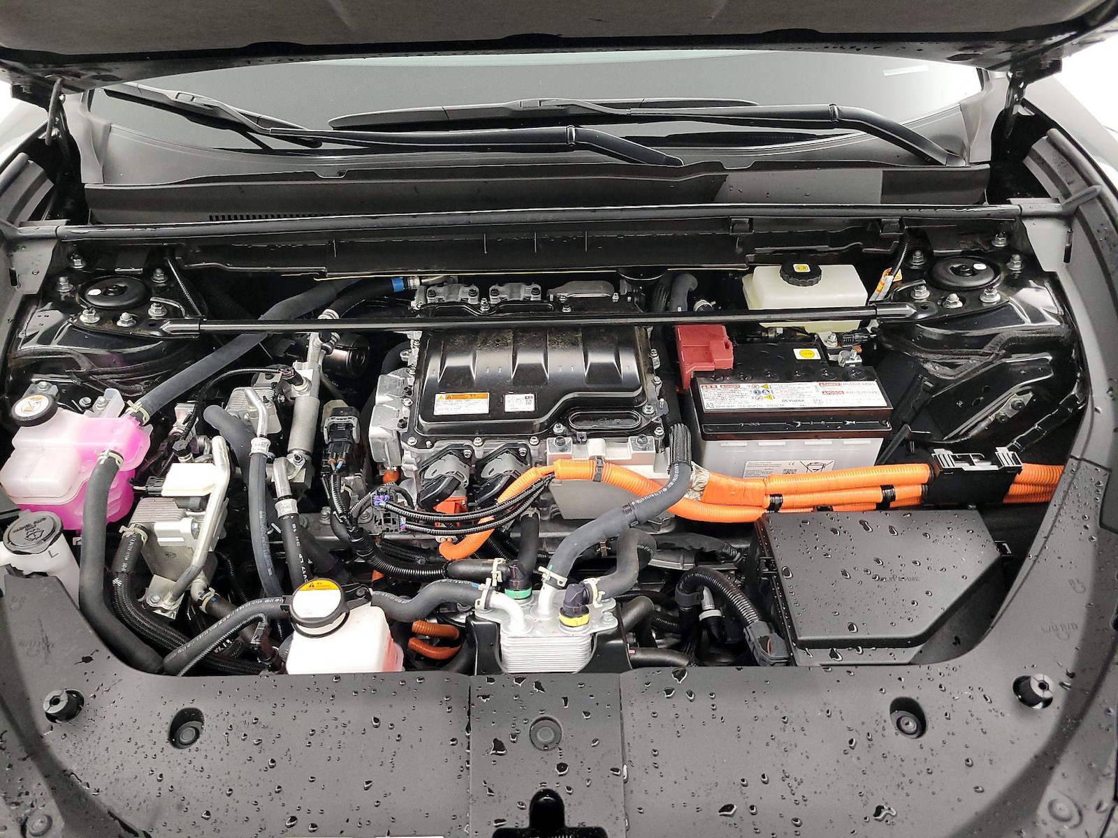 View 24