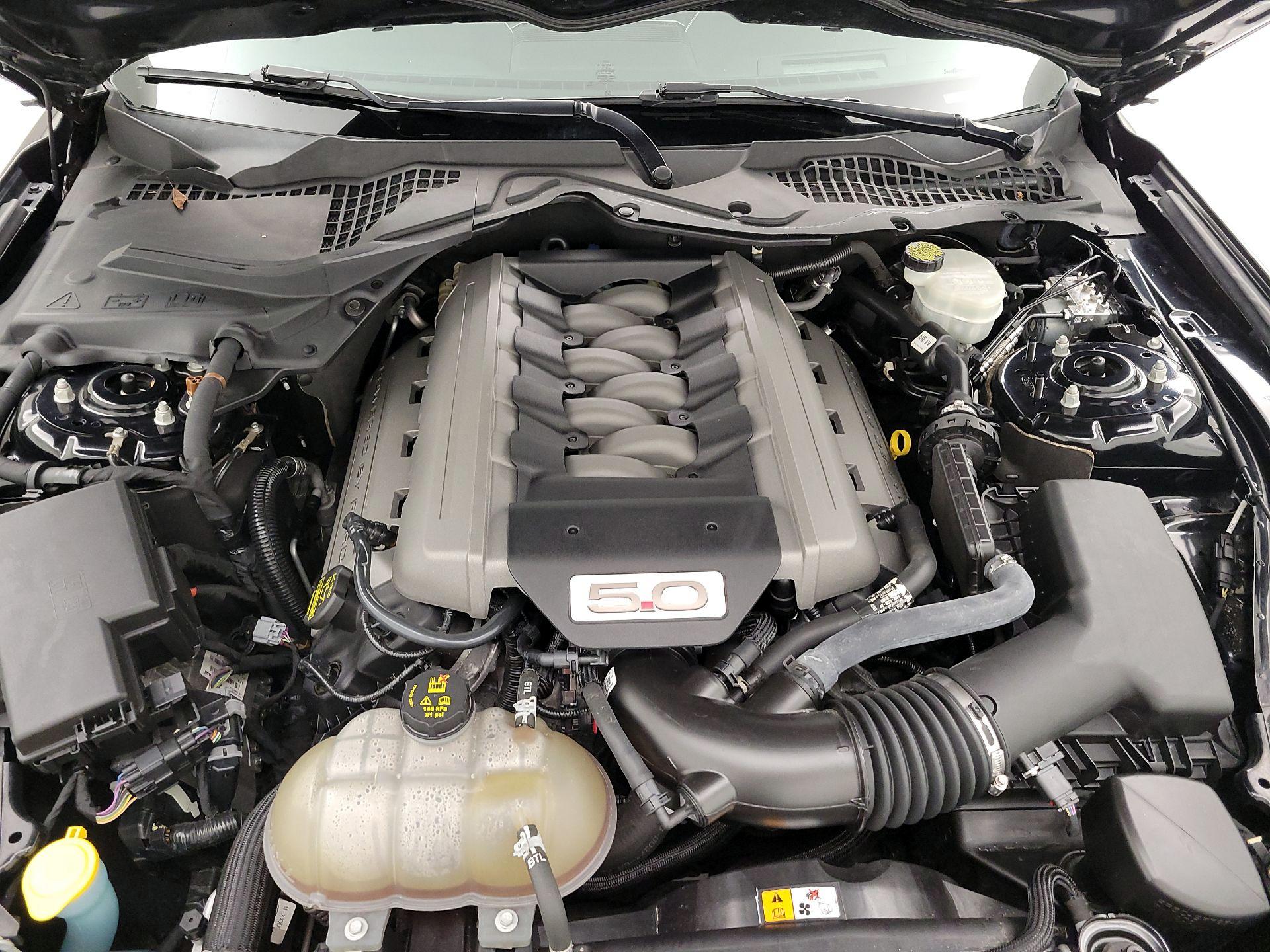 Thumbnail: 2015 Ford Mustang - 17