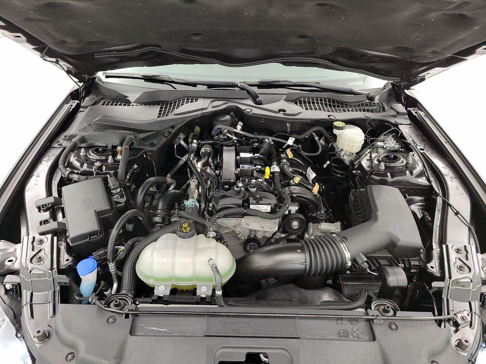 Thumbnail: 2022 Ford Mustang - 18