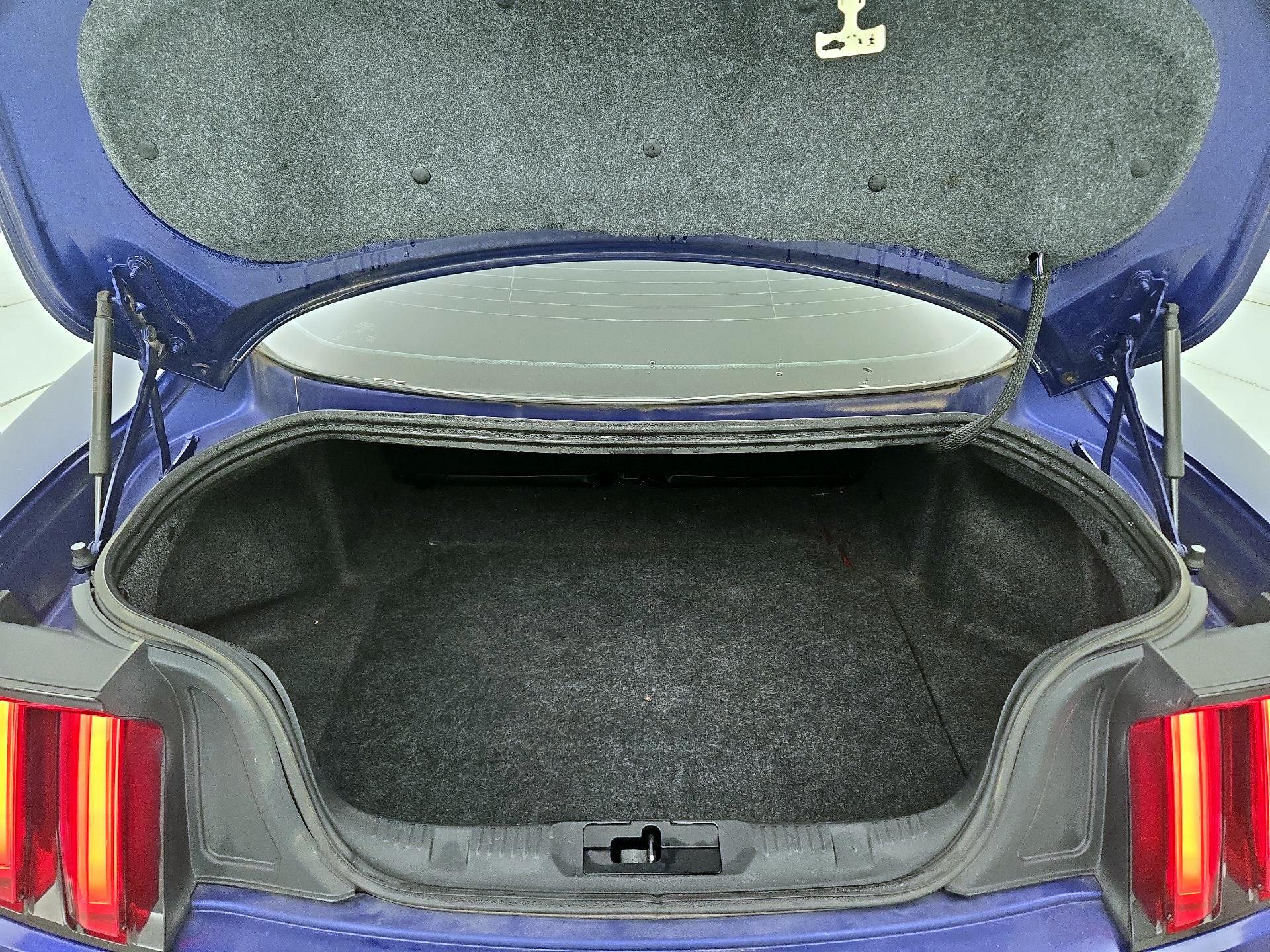 Thumbnail: 2015 Ford Mustang - 20