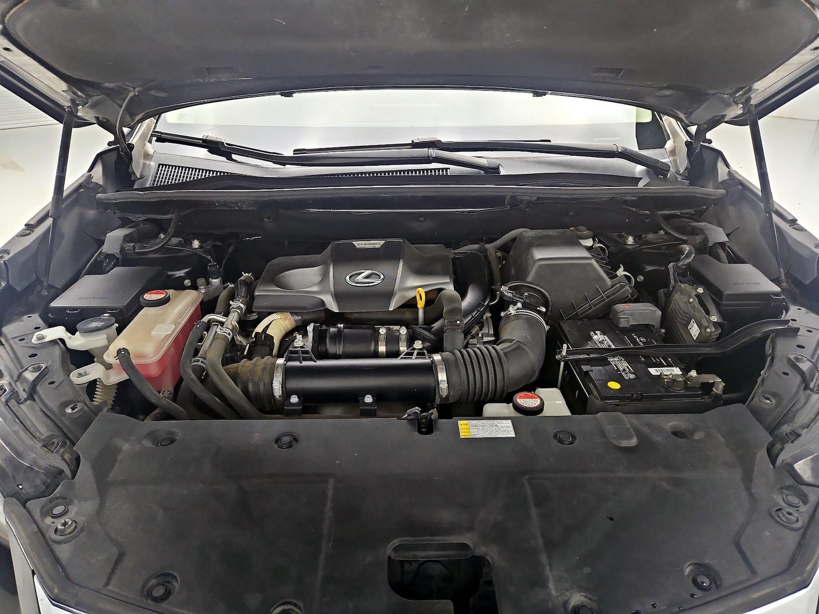 View 24