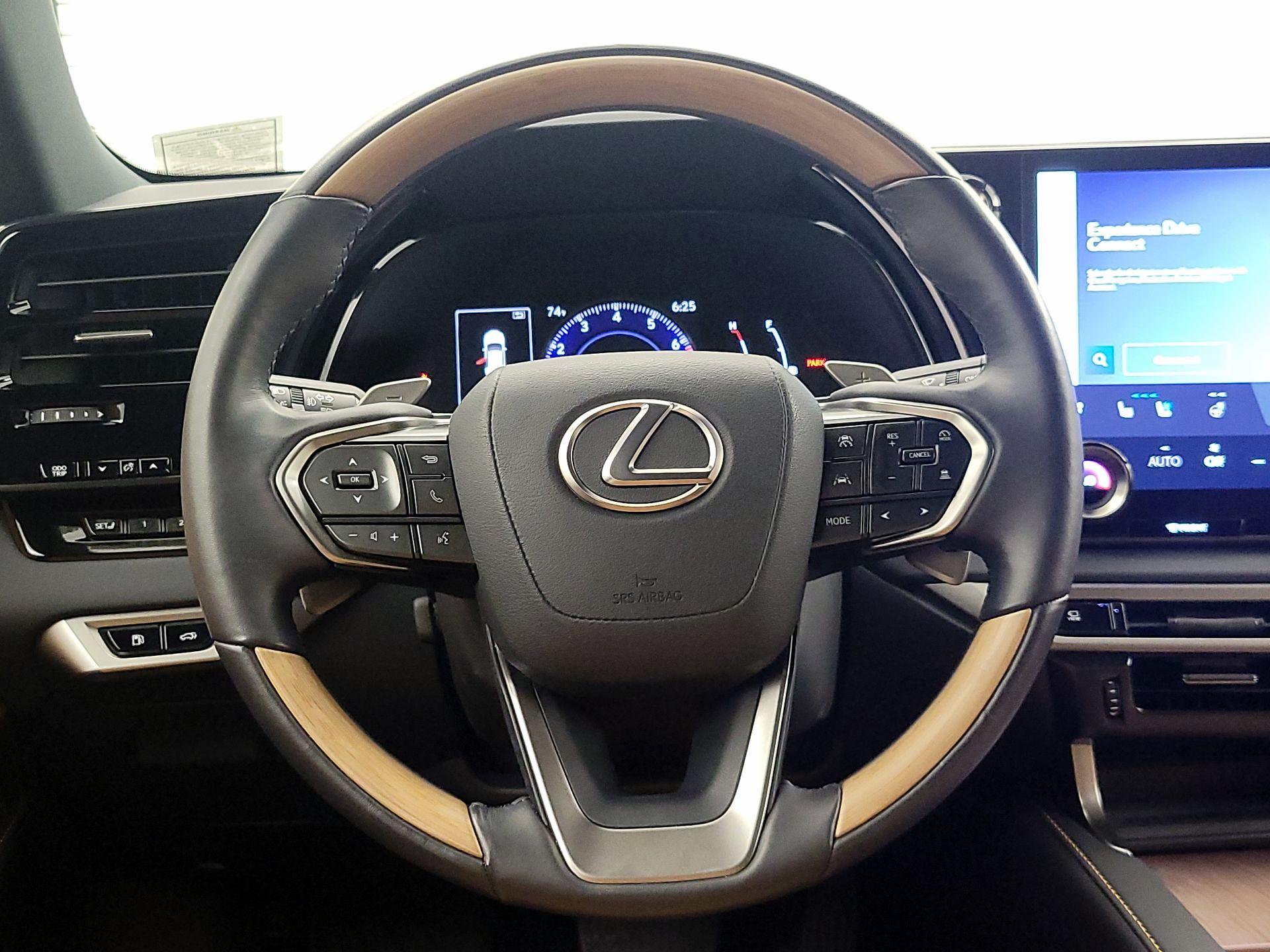Thumbnail: 2024 Lexus RX - 10