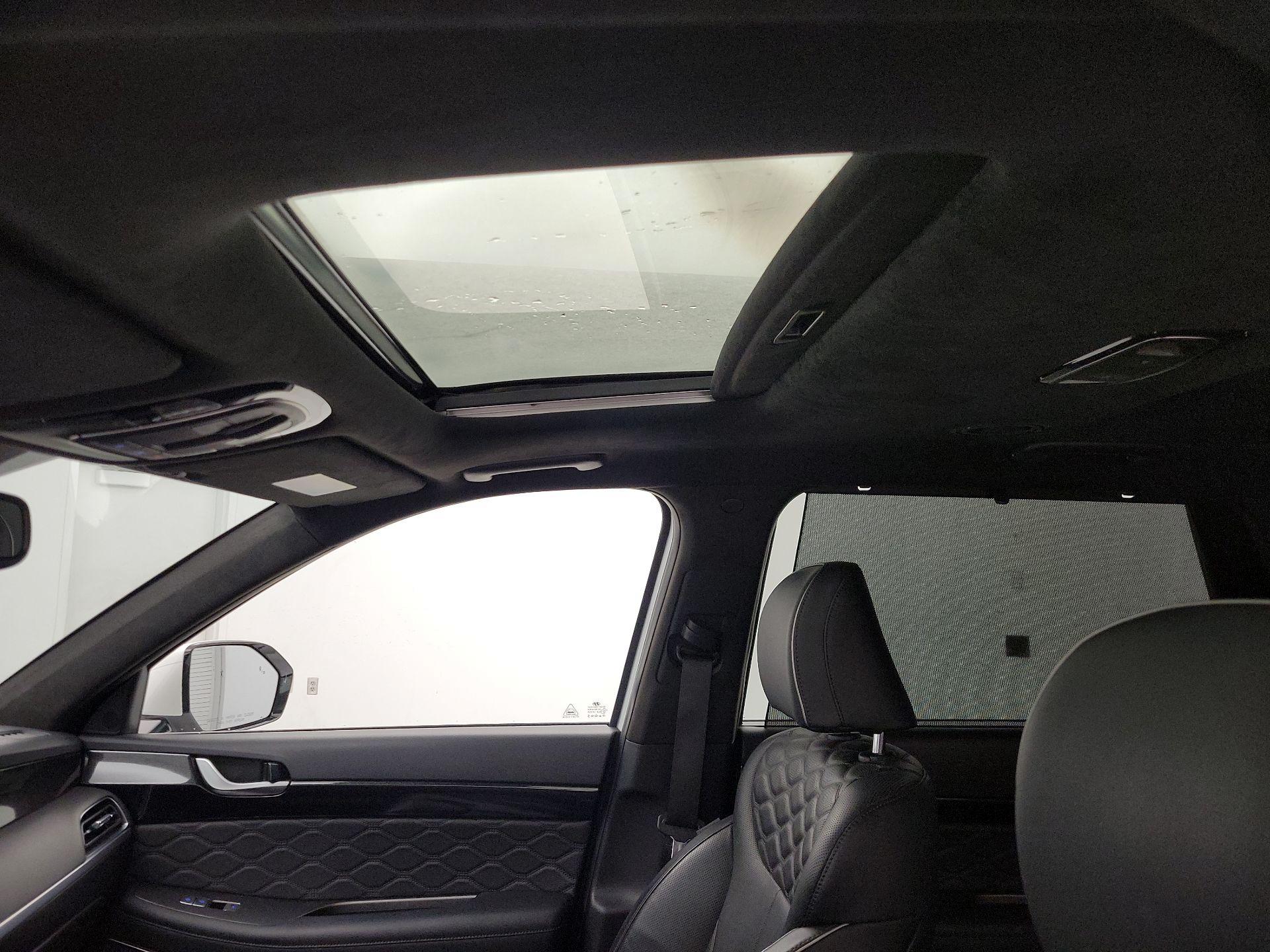 Thumbnail: 2020 Hyundai Palisade - 20