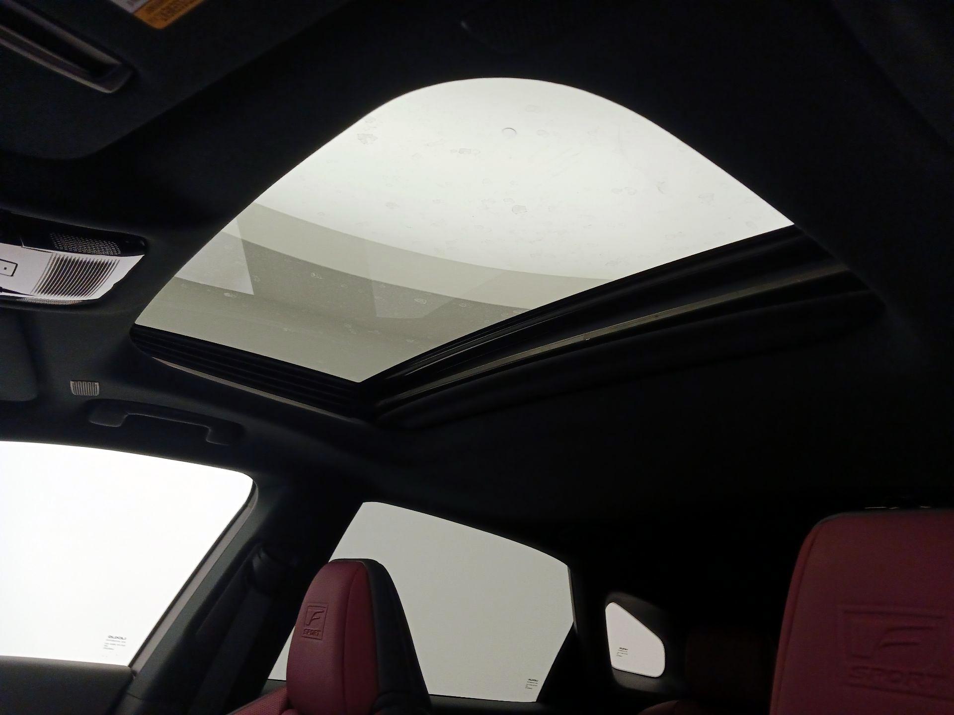 Thumbnail: 2024 Lexus RX - 19