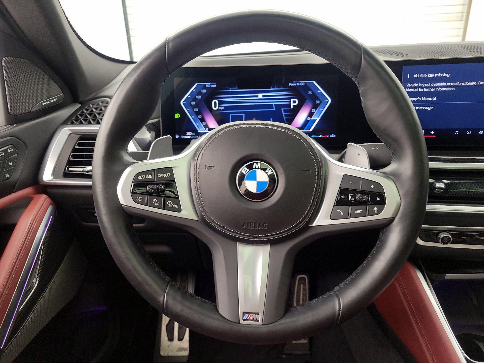 Thumbnail: 2024 BMW X6 - 10