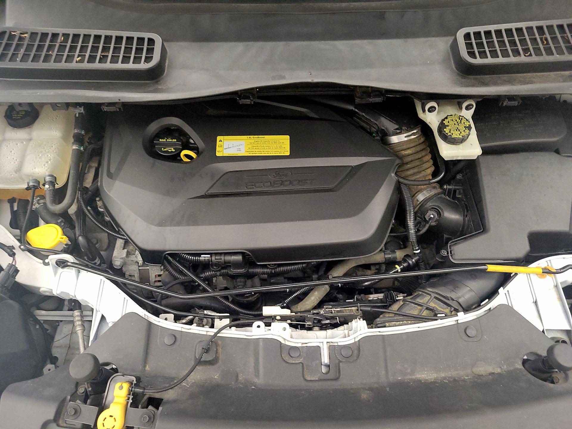 Thumbnail: 2014 Ford Escape - 20