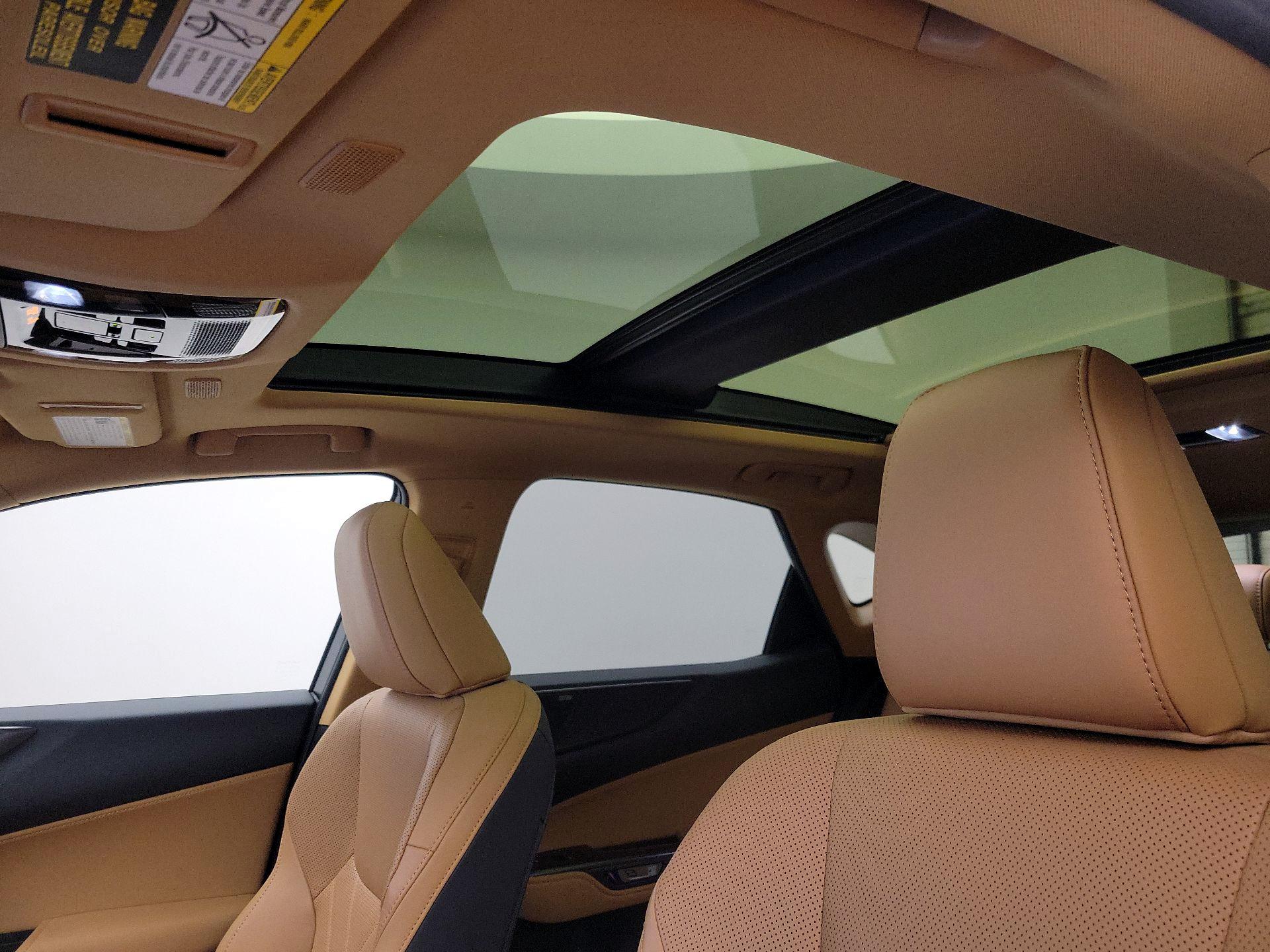 Thumbnail: 2024 Lexus NX - 19