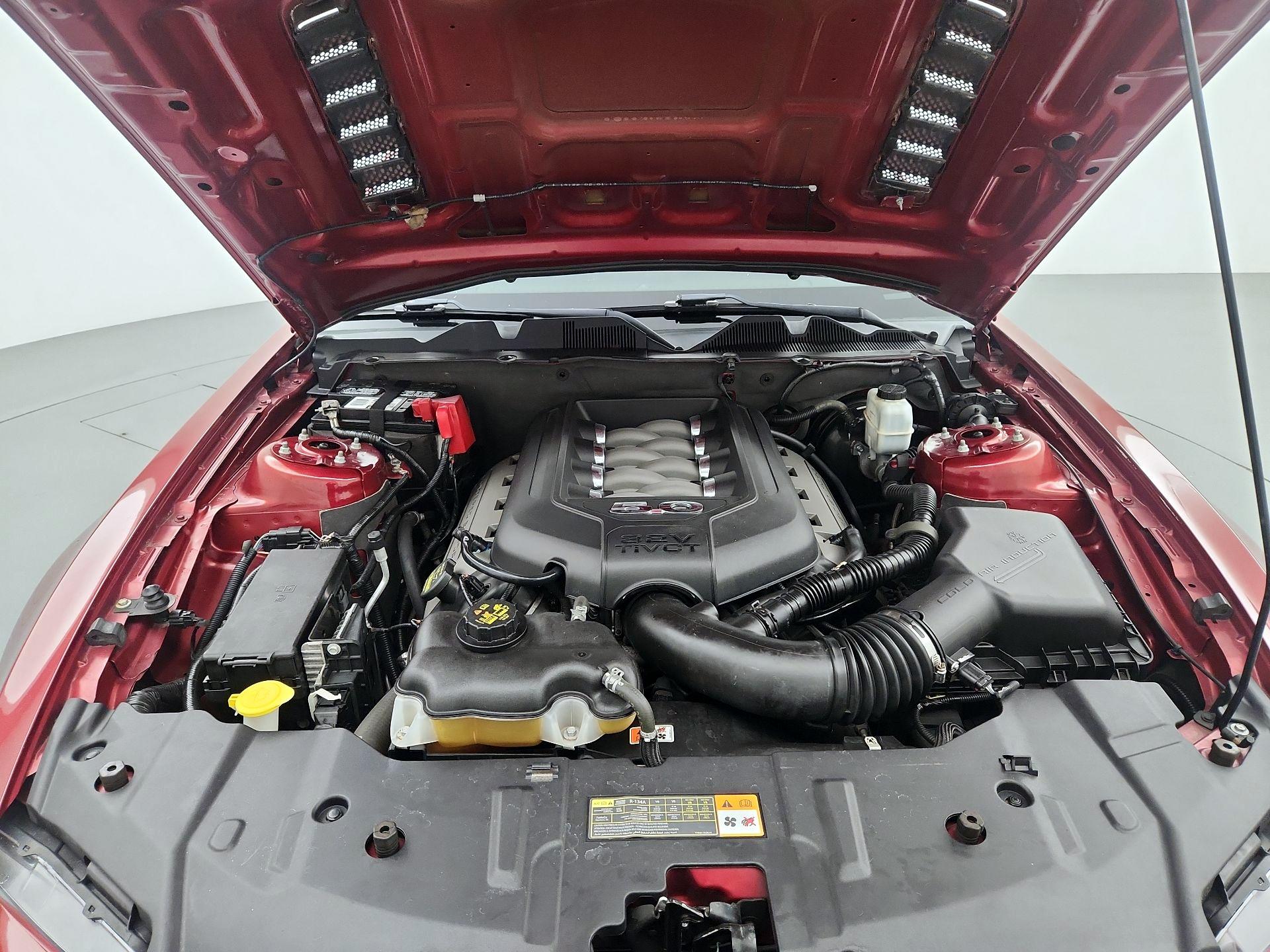 Thumbnail: 2014 Ford Mustang - 19