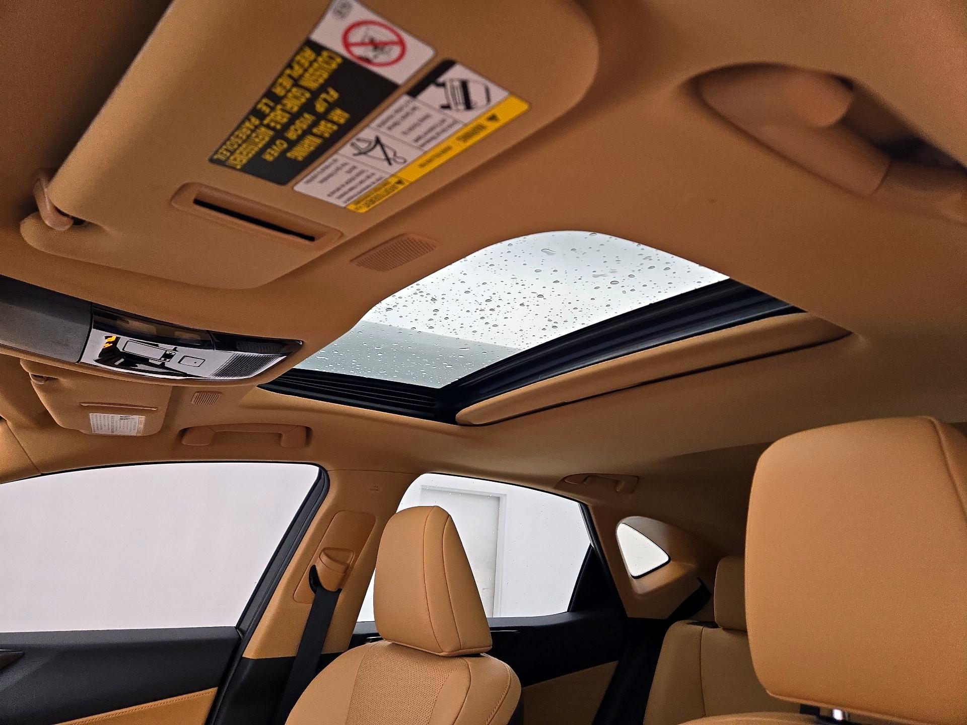 Thumbnail: 2025 Lexus NX - 19