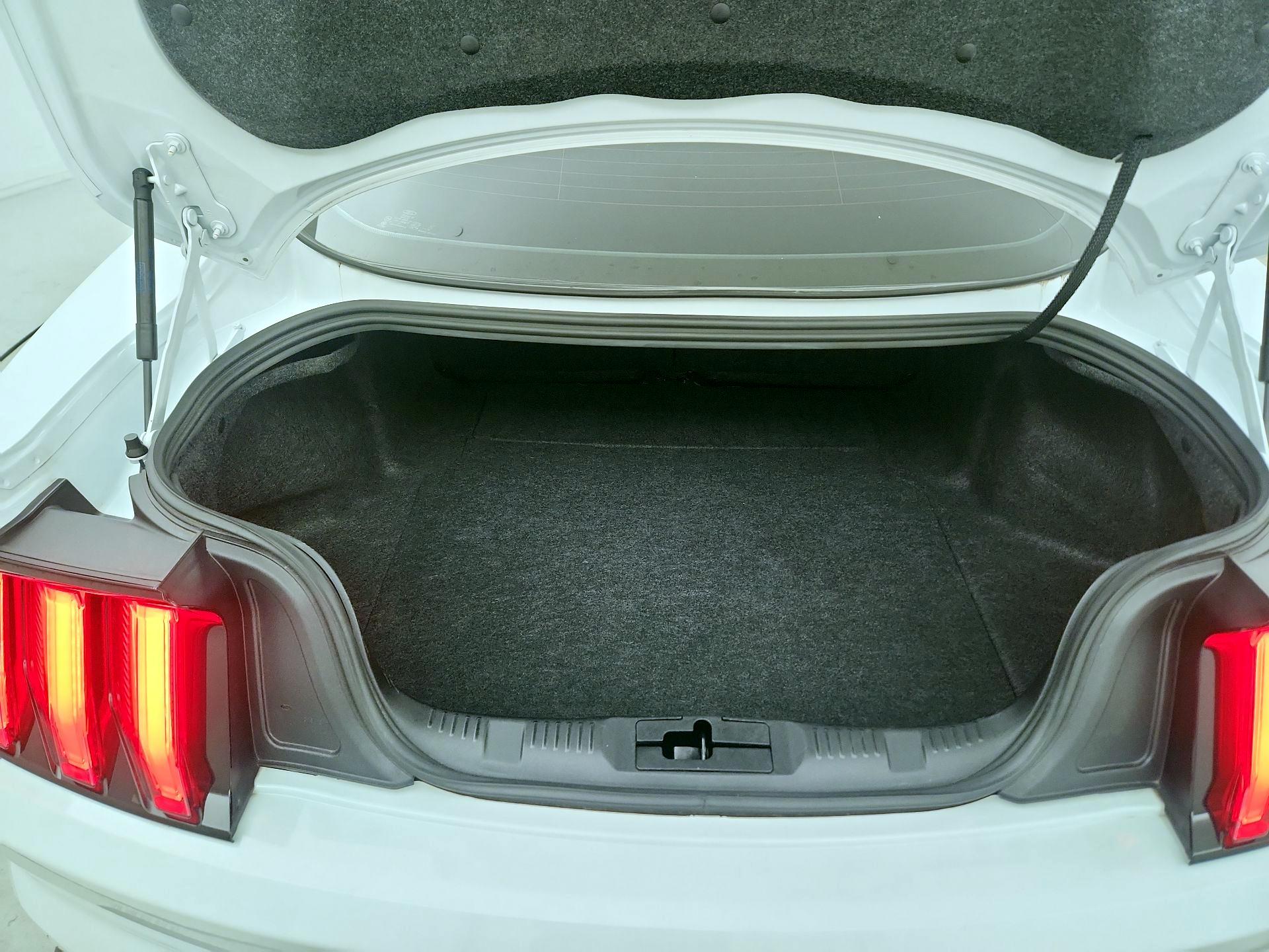 Thumbnail: 2023 Ford Mustang - 20