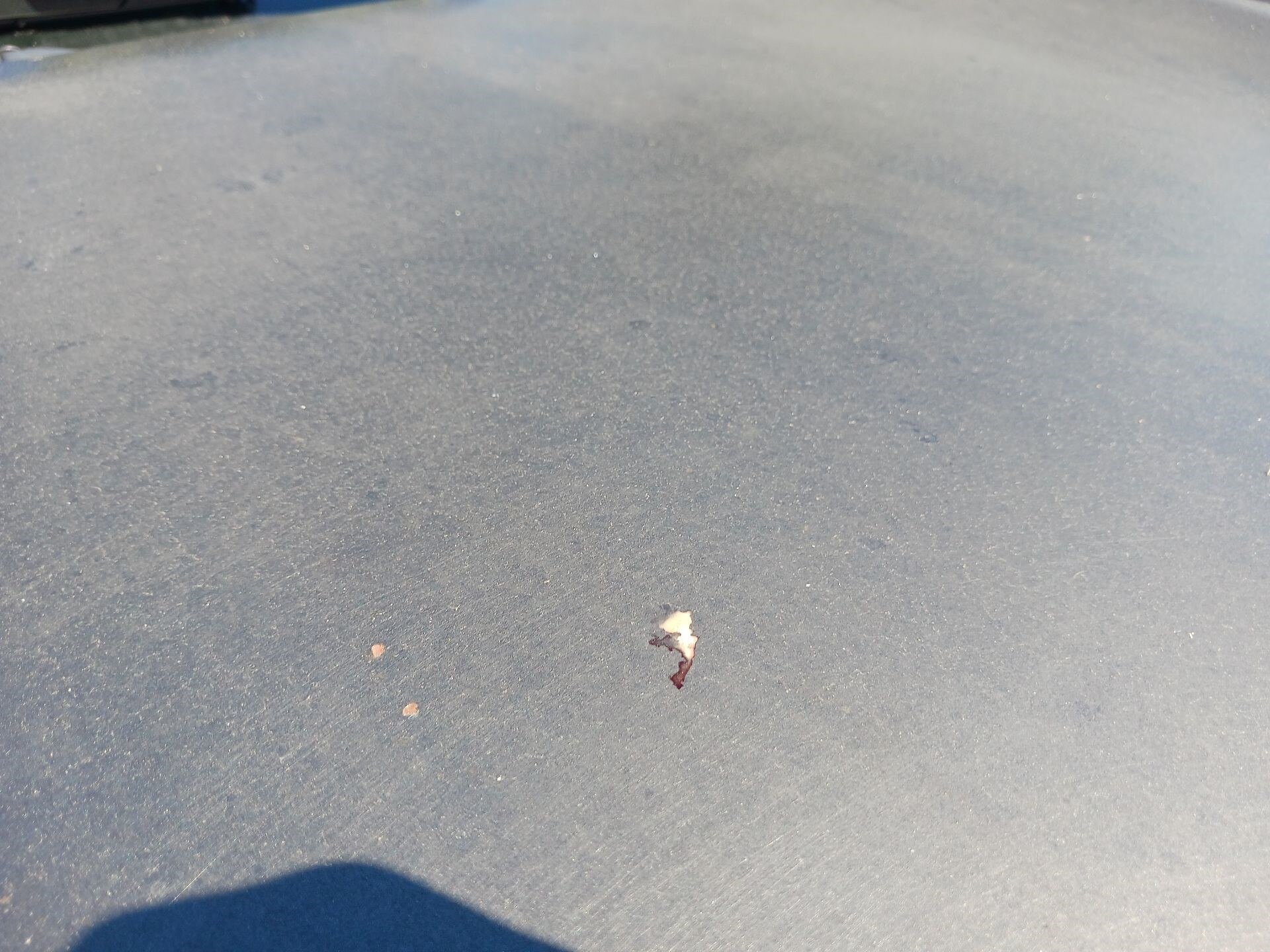 Thumbnail: 2024 Hyundai Tucson - 18