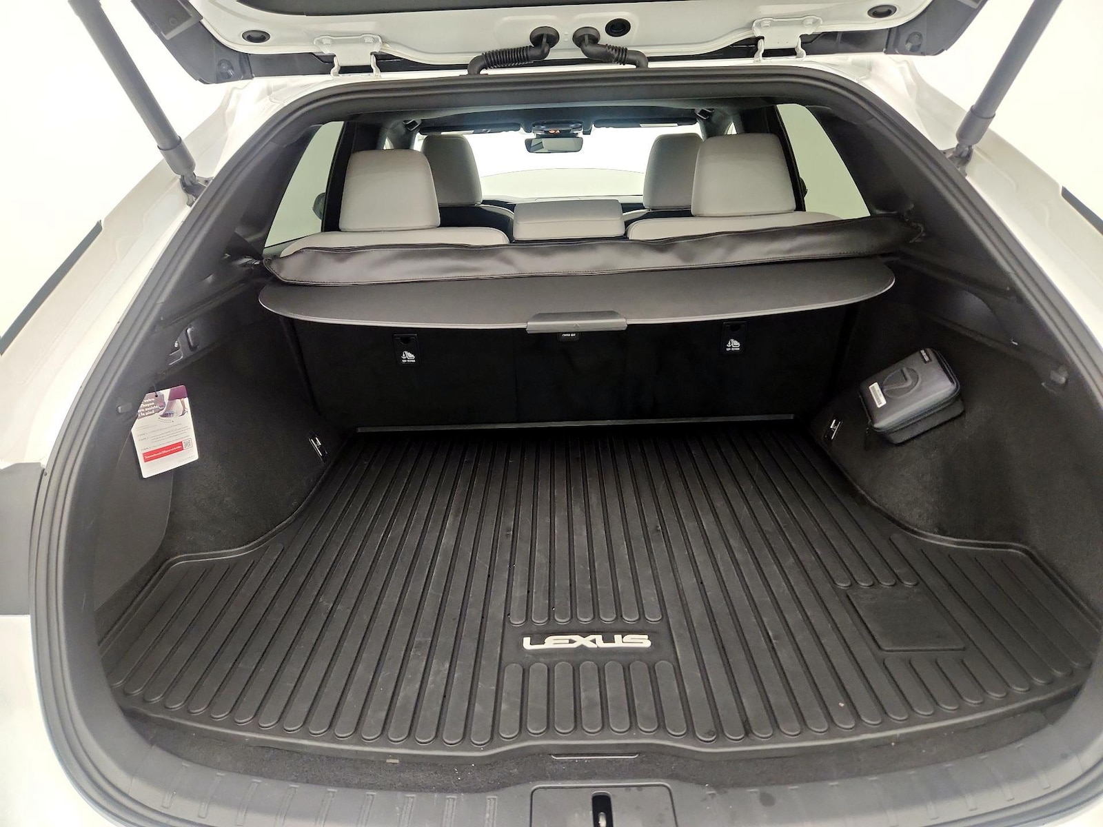 2025 Lexus RX Hybrid 350h - Photo 22