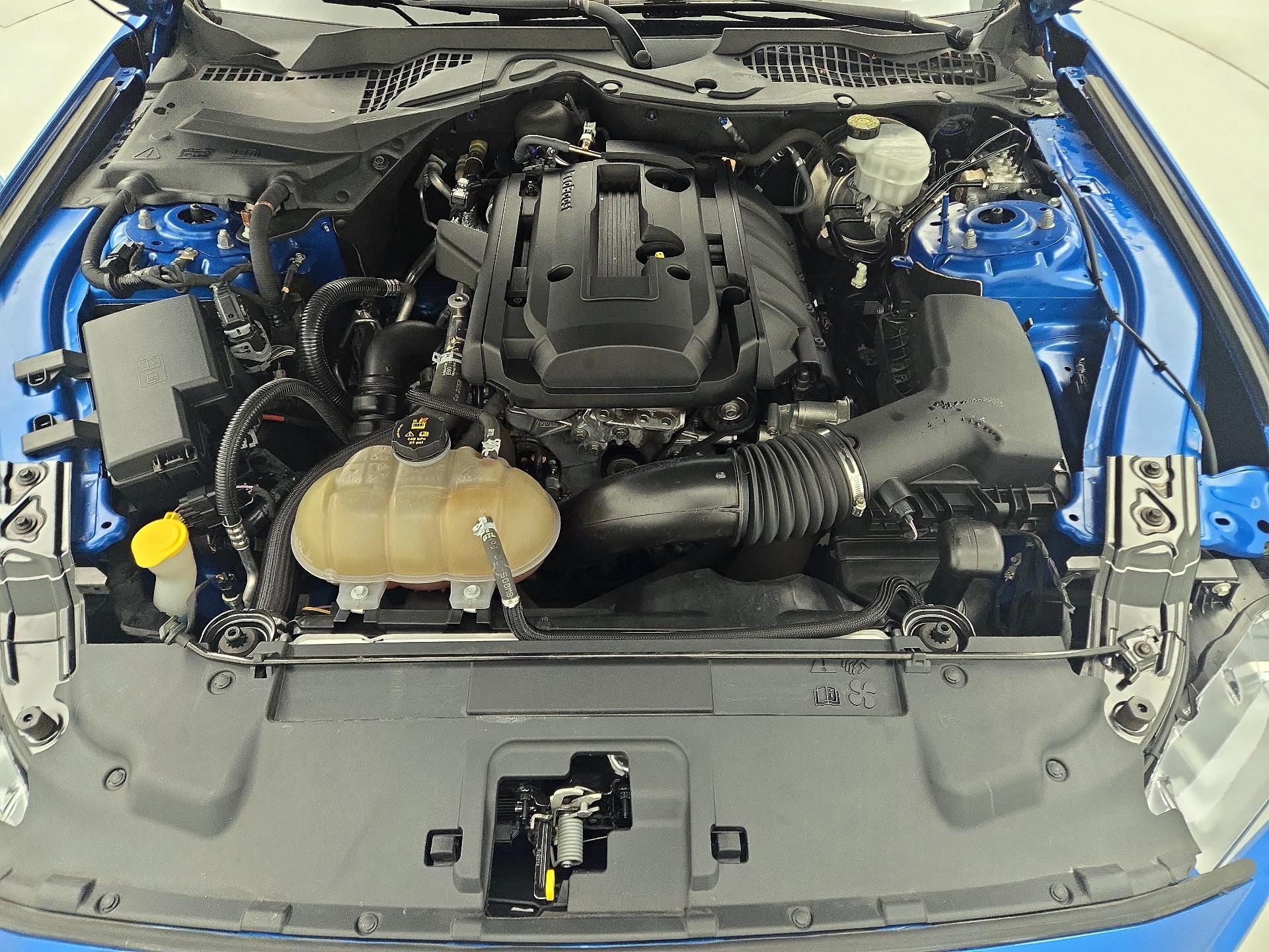 Thumbnail: 2019 Ford Mustang - 20