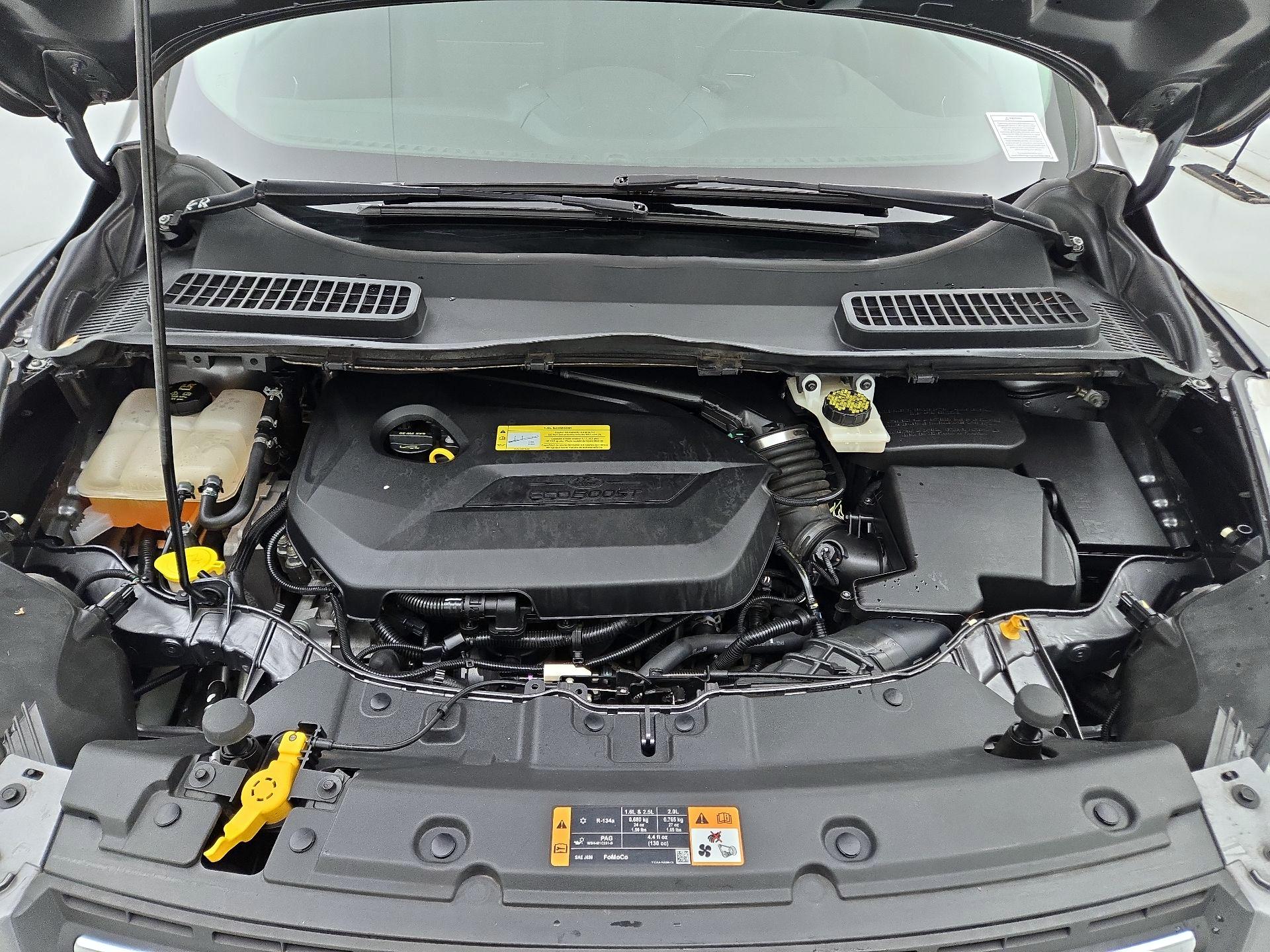 Thumbnail: 2014 Ford Escape - 20