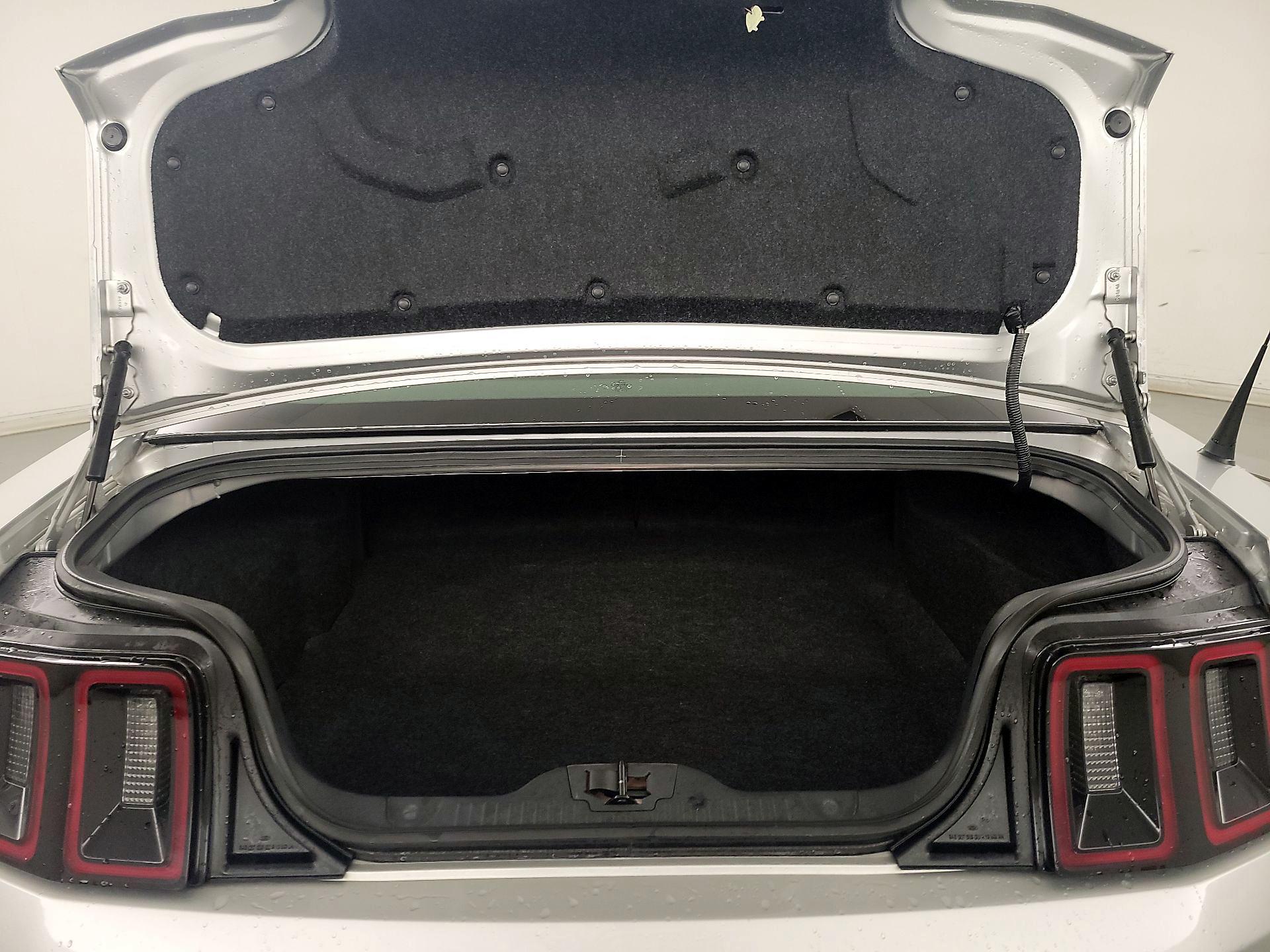 Thumbnail: 2014 Ford Mustang - 19