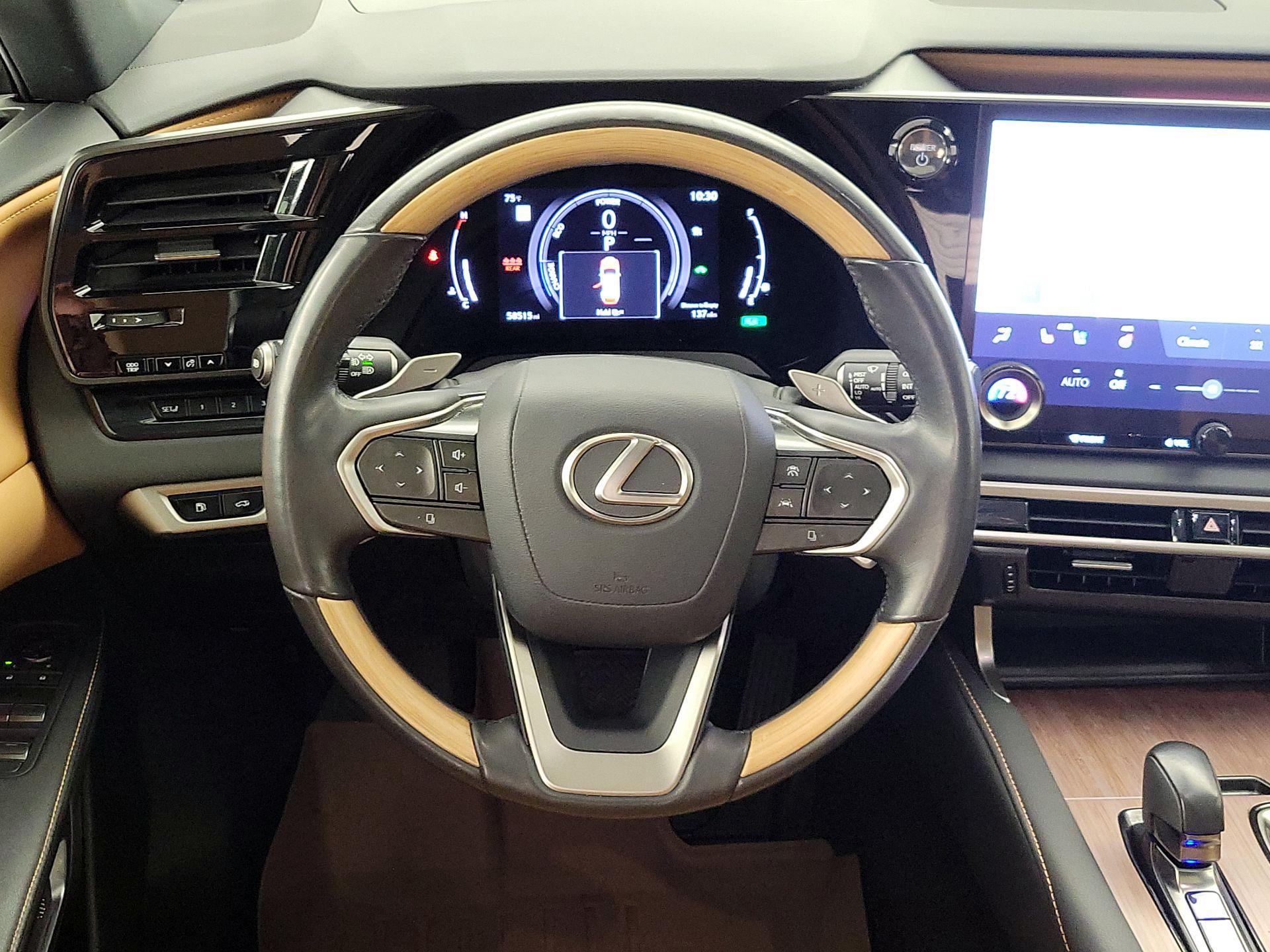 Thumbnail: 2024 Lexus RX - 10