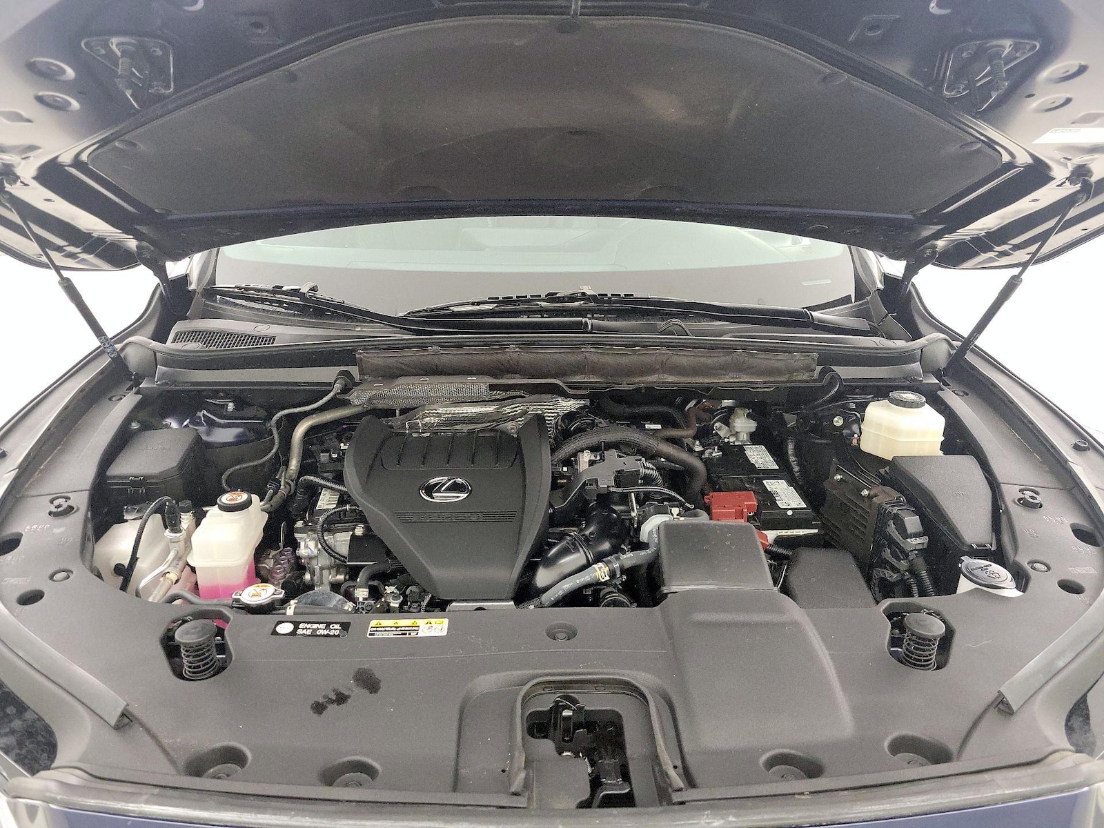 2024 Lexus RX 350 - Photo 23