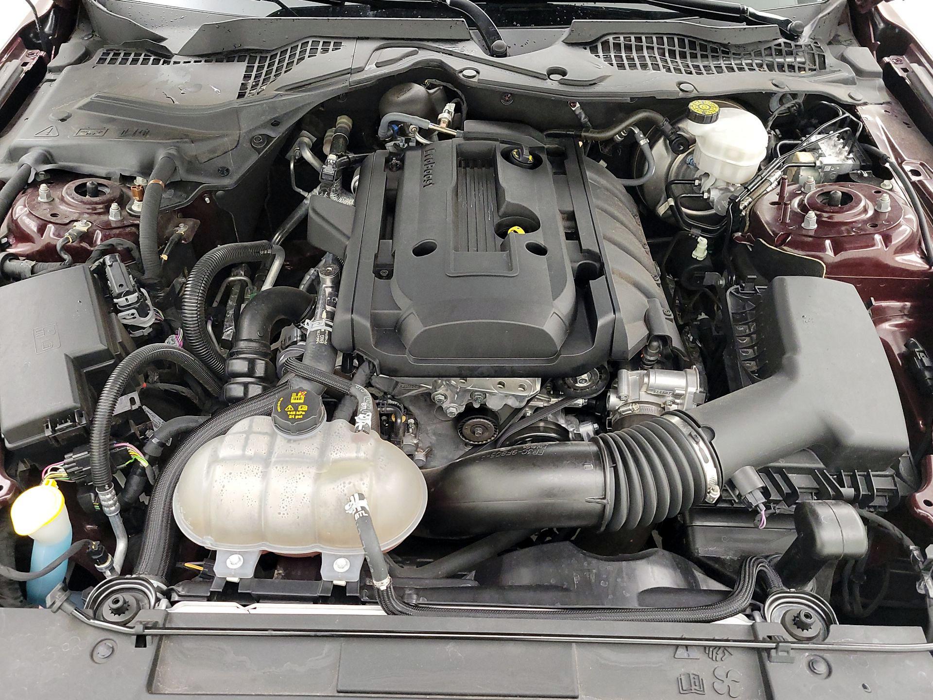 Thumbnail: 2018 Ford Mustang - 18