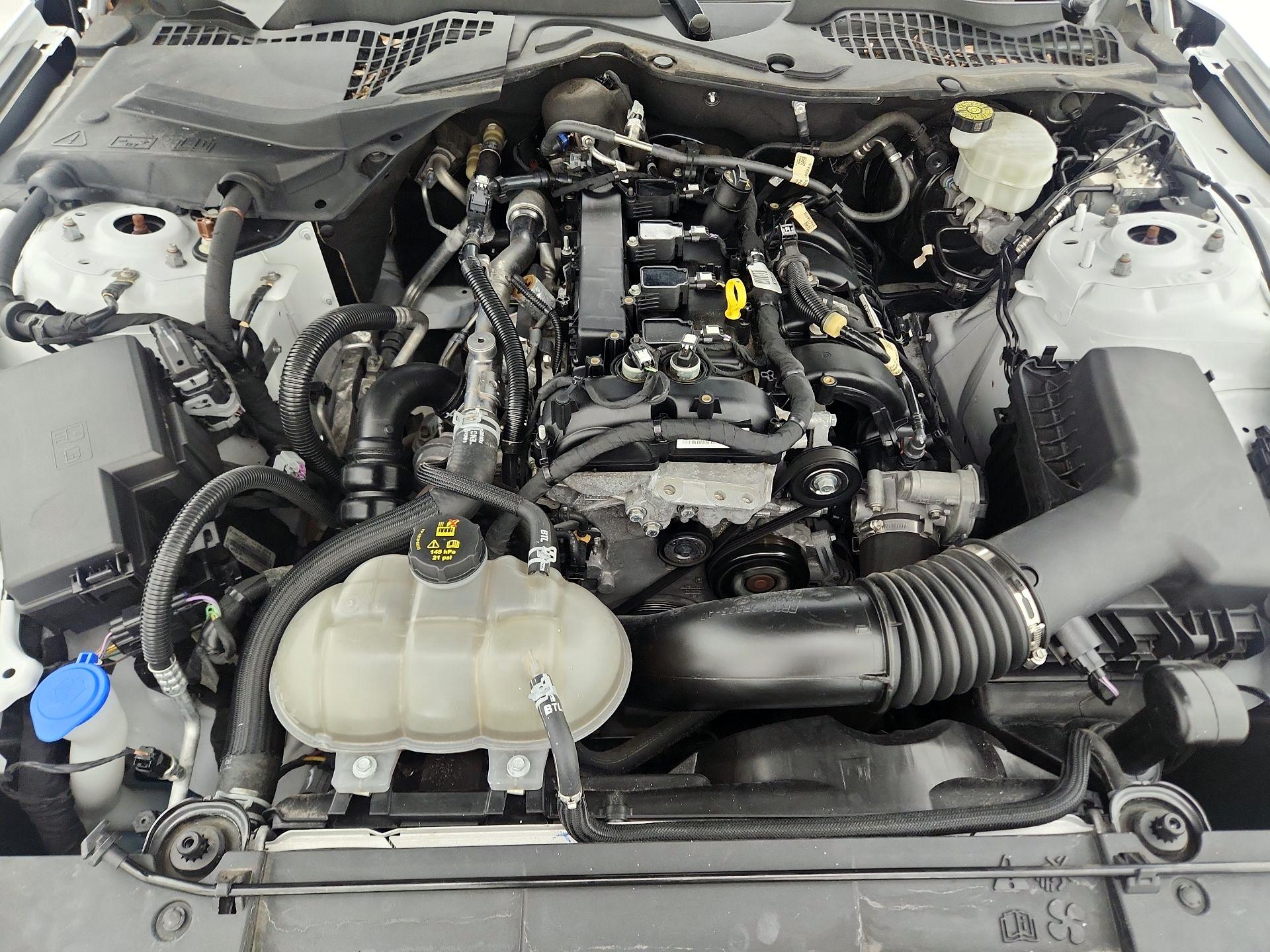 Thumbnail: 2022 Ford Mustang - 20