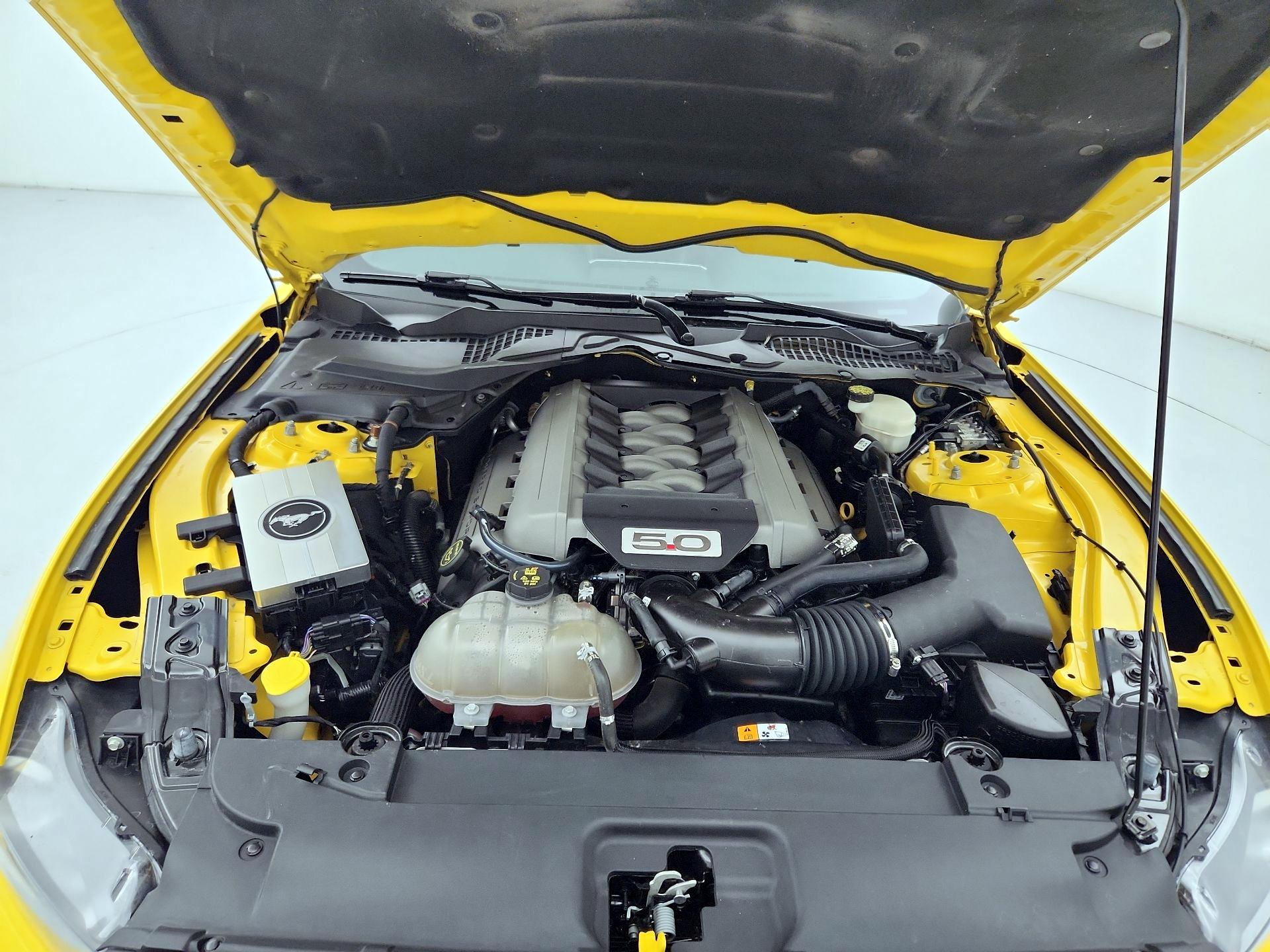 Thumbnail: 2016 Ford Mustang - 20