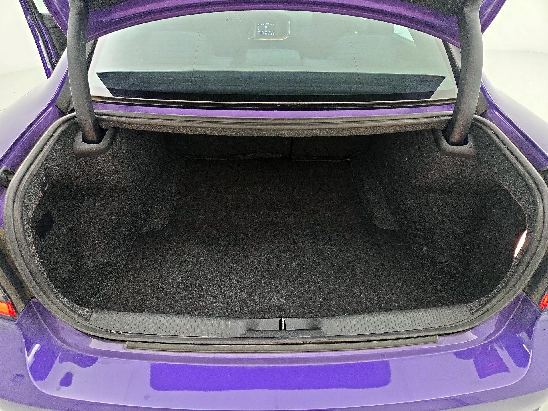 Thumbnail: 2019 Dodge Charger - 20