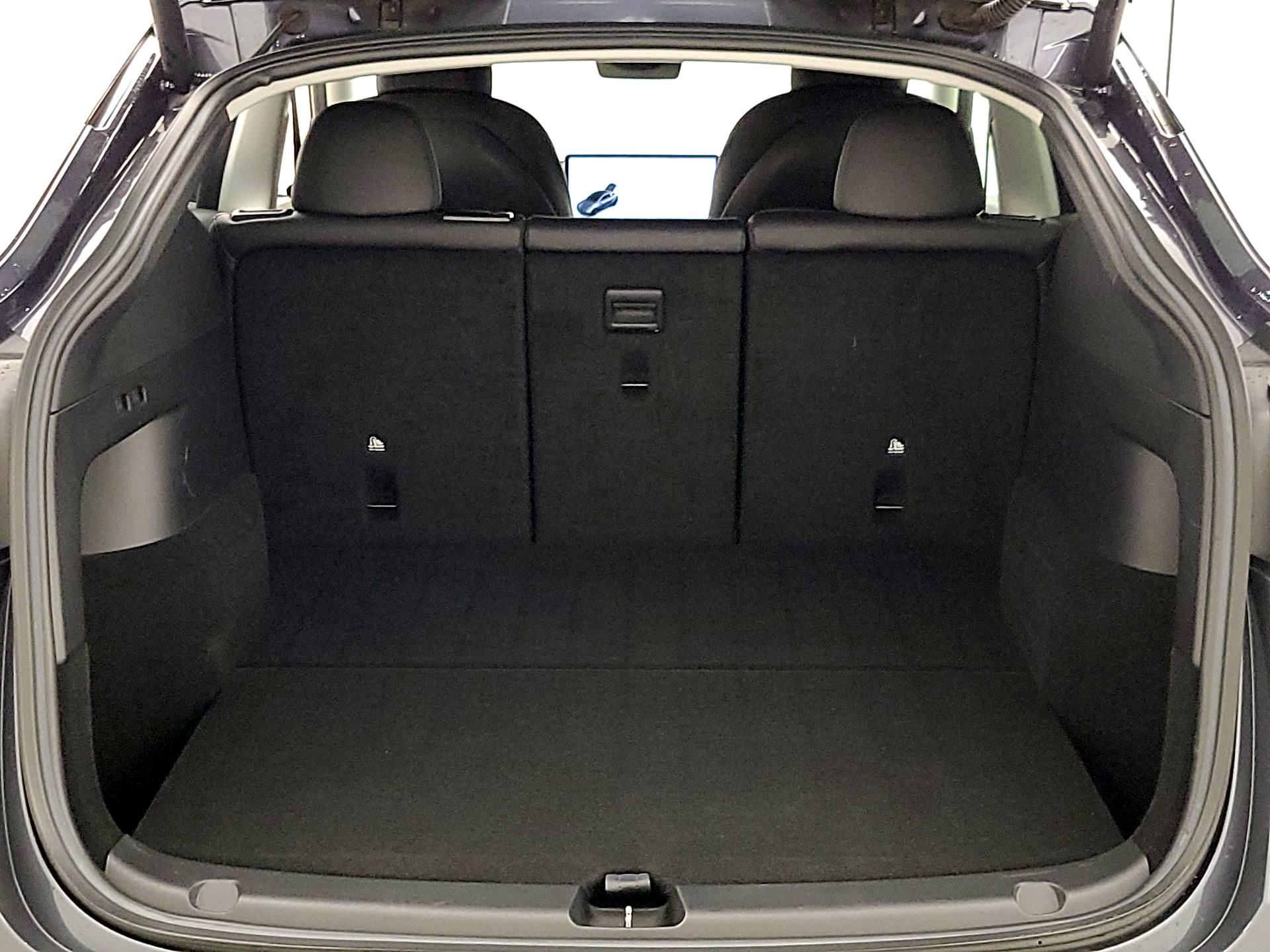 Thumbnail: 2021 Tesla Model Y - 20