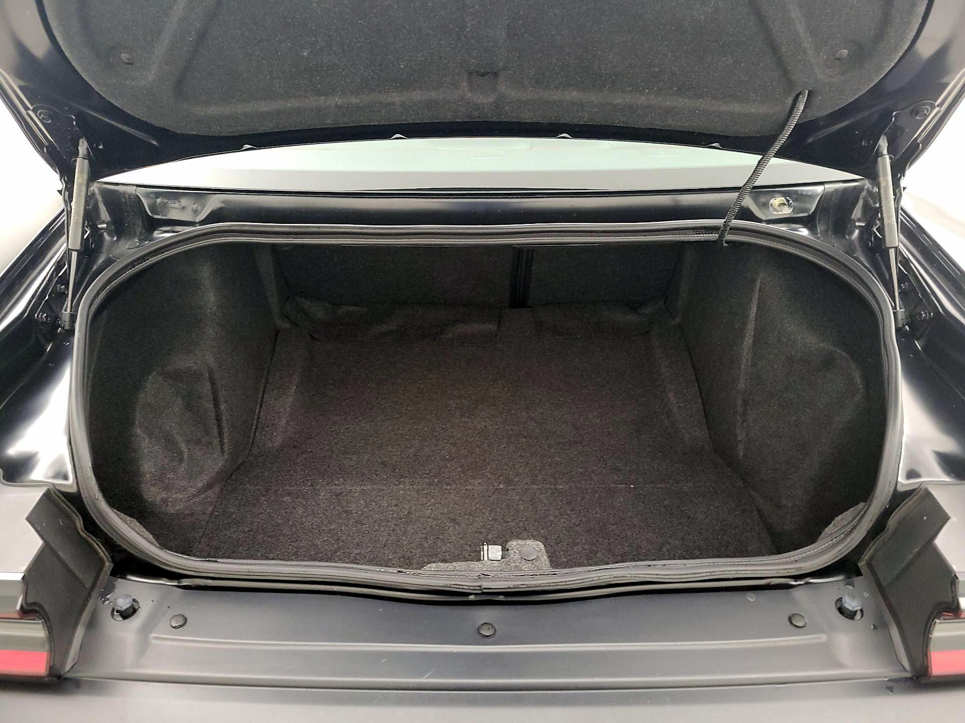 Thumbnail: 2019 Dodge Challenger - 20