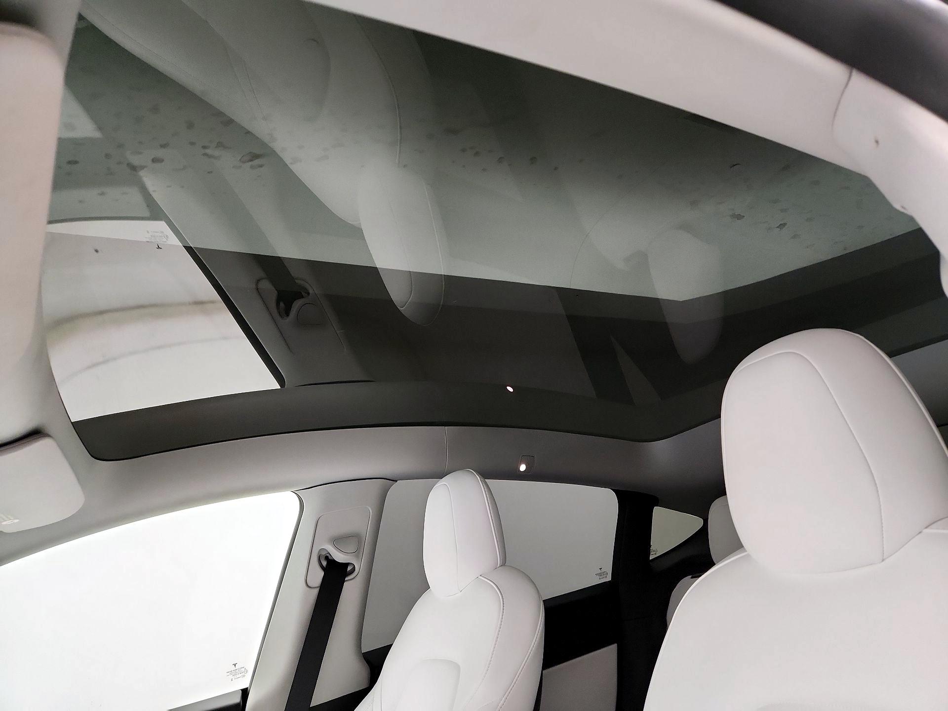 Thumbnail: 2022 Tesla Model Y - 18